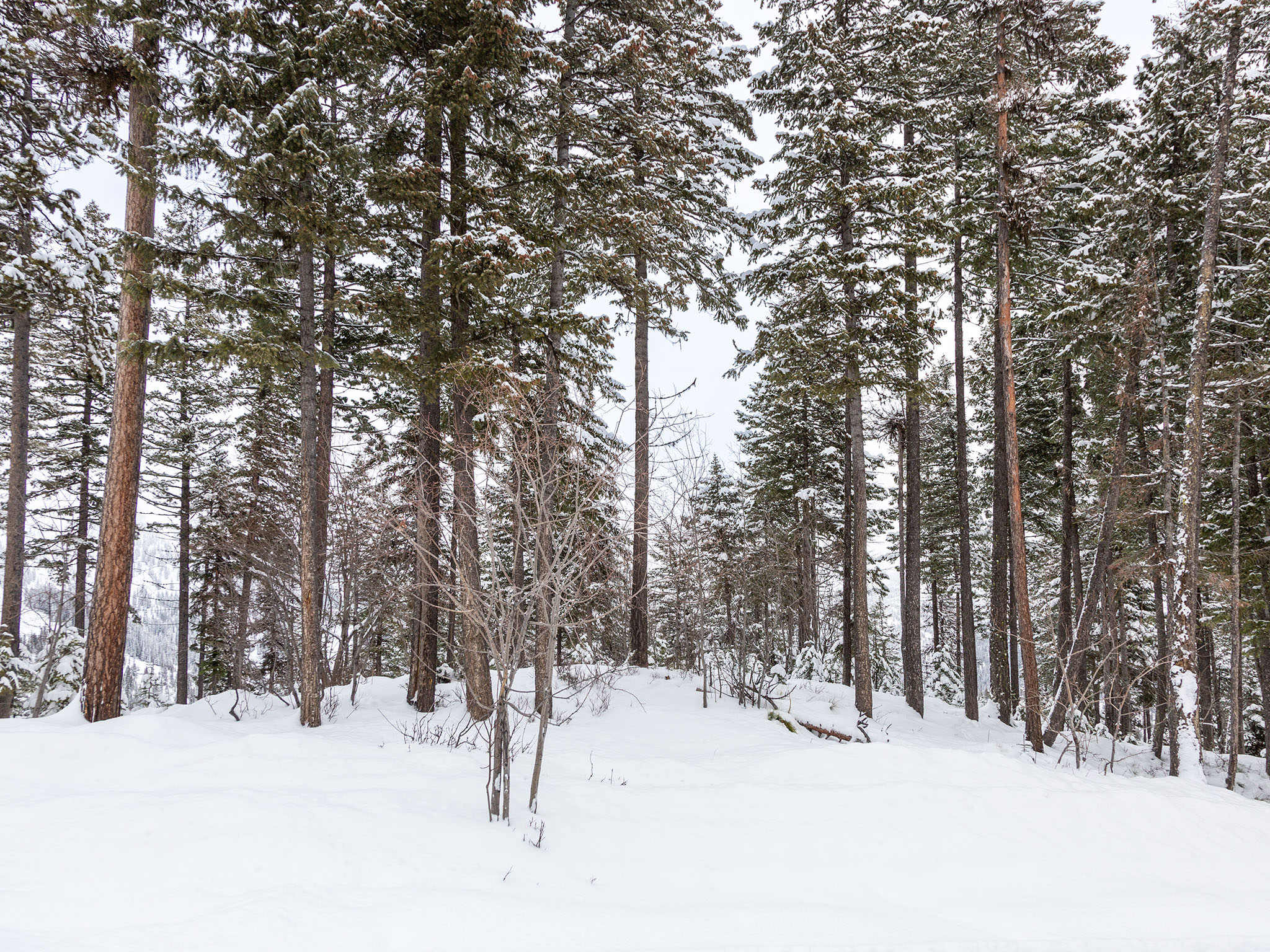  128 Ridge Run Drive - 物件實景