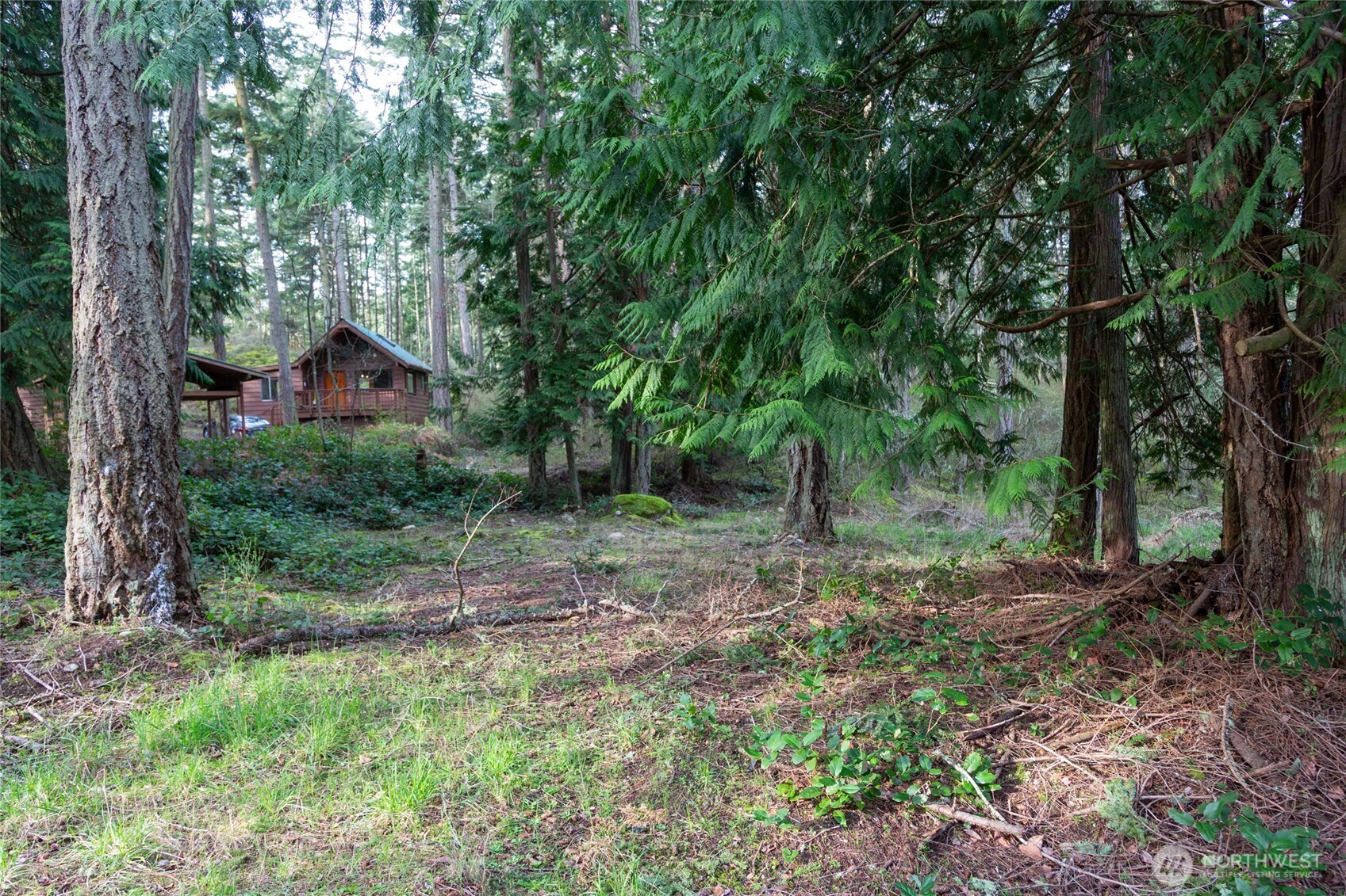 Friday Harbor, Washington, 98250, United States, ,Land,For Sale,1796697