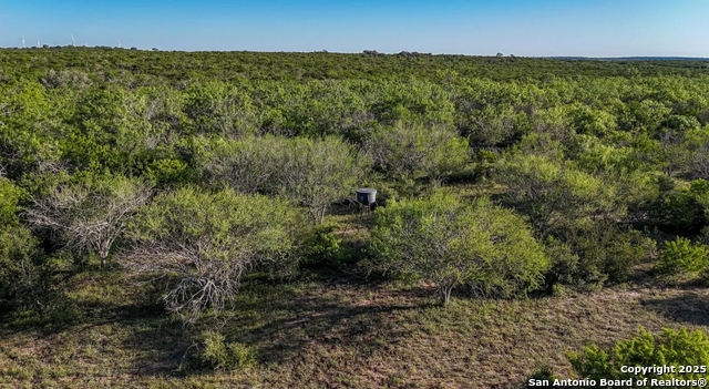 Beeville, Texas, 78102, United States, ,Land,For Sale,1988110