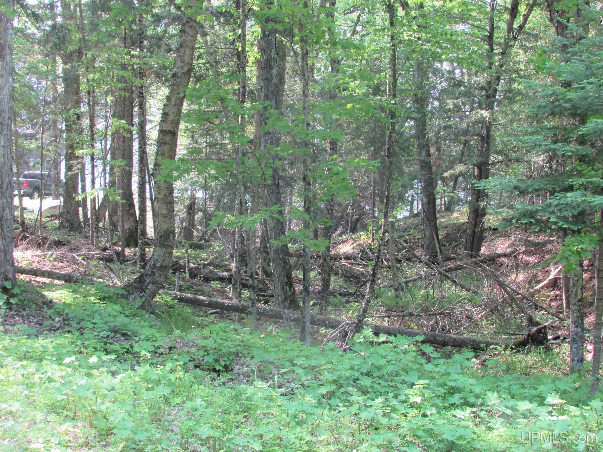 Skanee, Michigan, 49962, United States, 3 Bedrooms Bedrooms, ,2 BathroomsBathrooms,Residential,For Sale,1975456