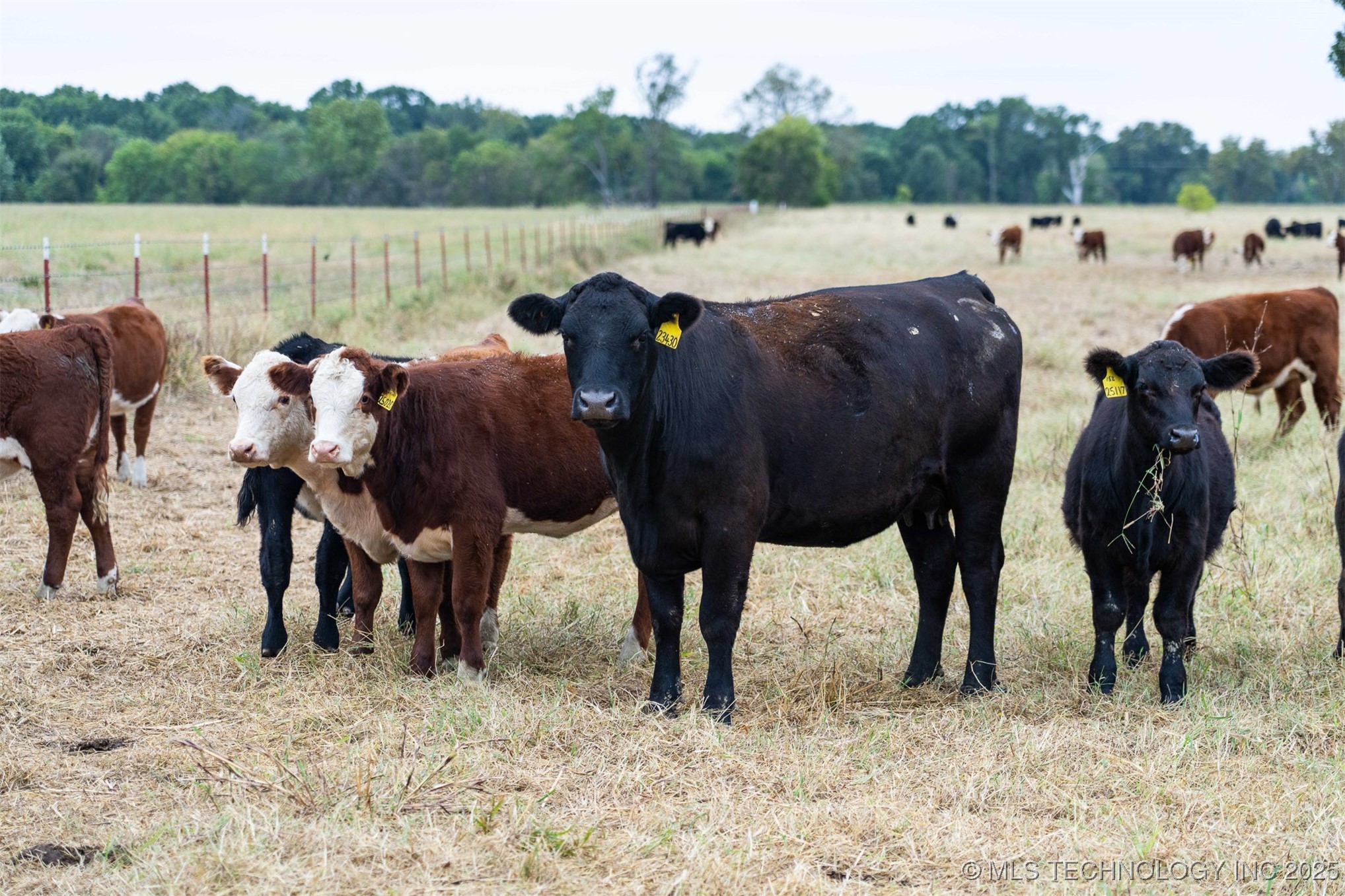 Haskell, Oklahoma, 74436, United States, ,Residential,For Sale,1989058