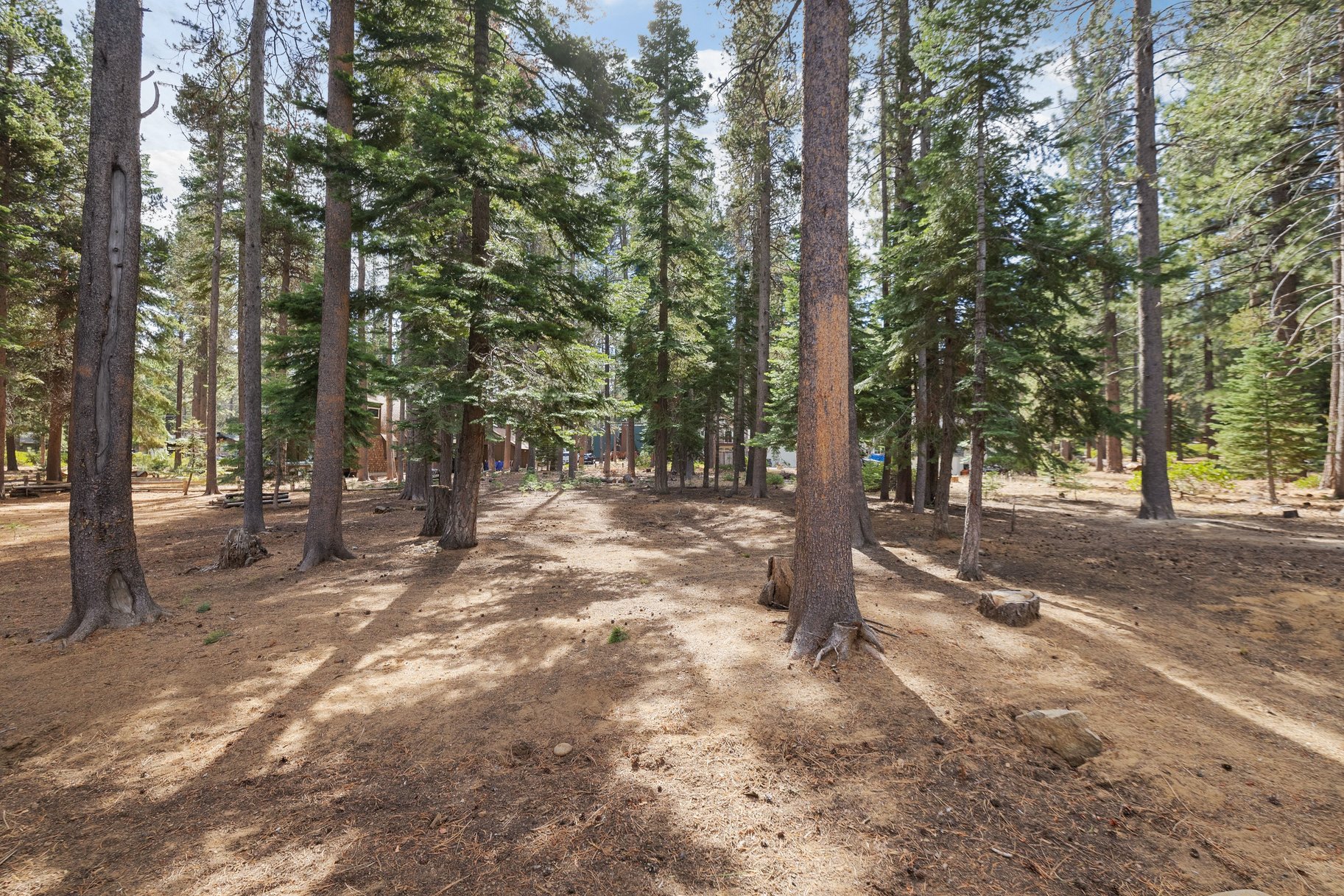  Charming Tahoe Cabin Beside Forest Service Land—Your Mountain Getaway Awaits - 物件實景