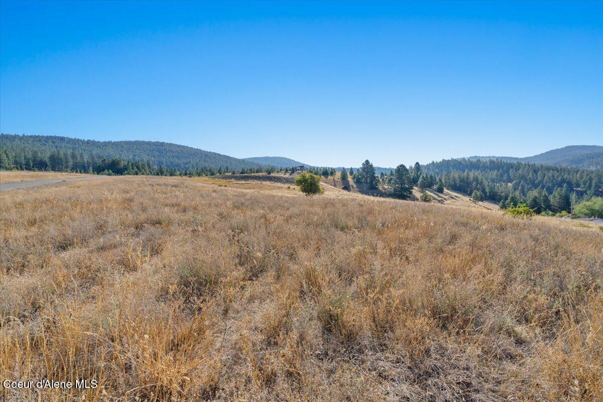 Post Falls, Idaho, 83854, United States, 3 Bedrooms Bedrooms, ,1 BathroomBathrooms,Residential,For Sale,1999022