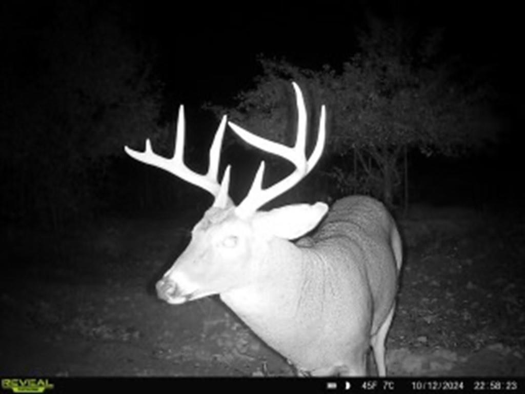 Hayward, Wisconsin, 54843, United States, ,Land,For Sale,1983896