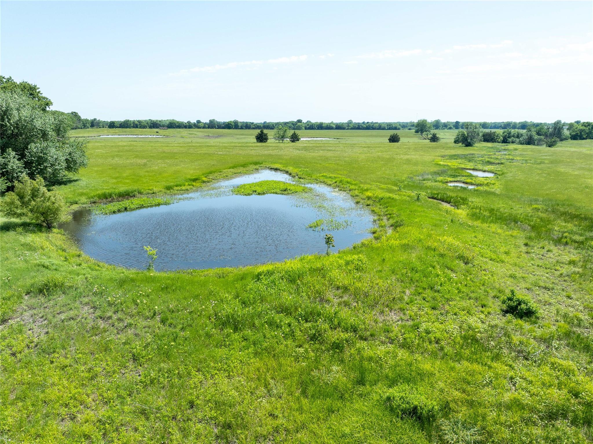 Blossom, Texas, 75416, United States, ,Residential,For Sale,1863967