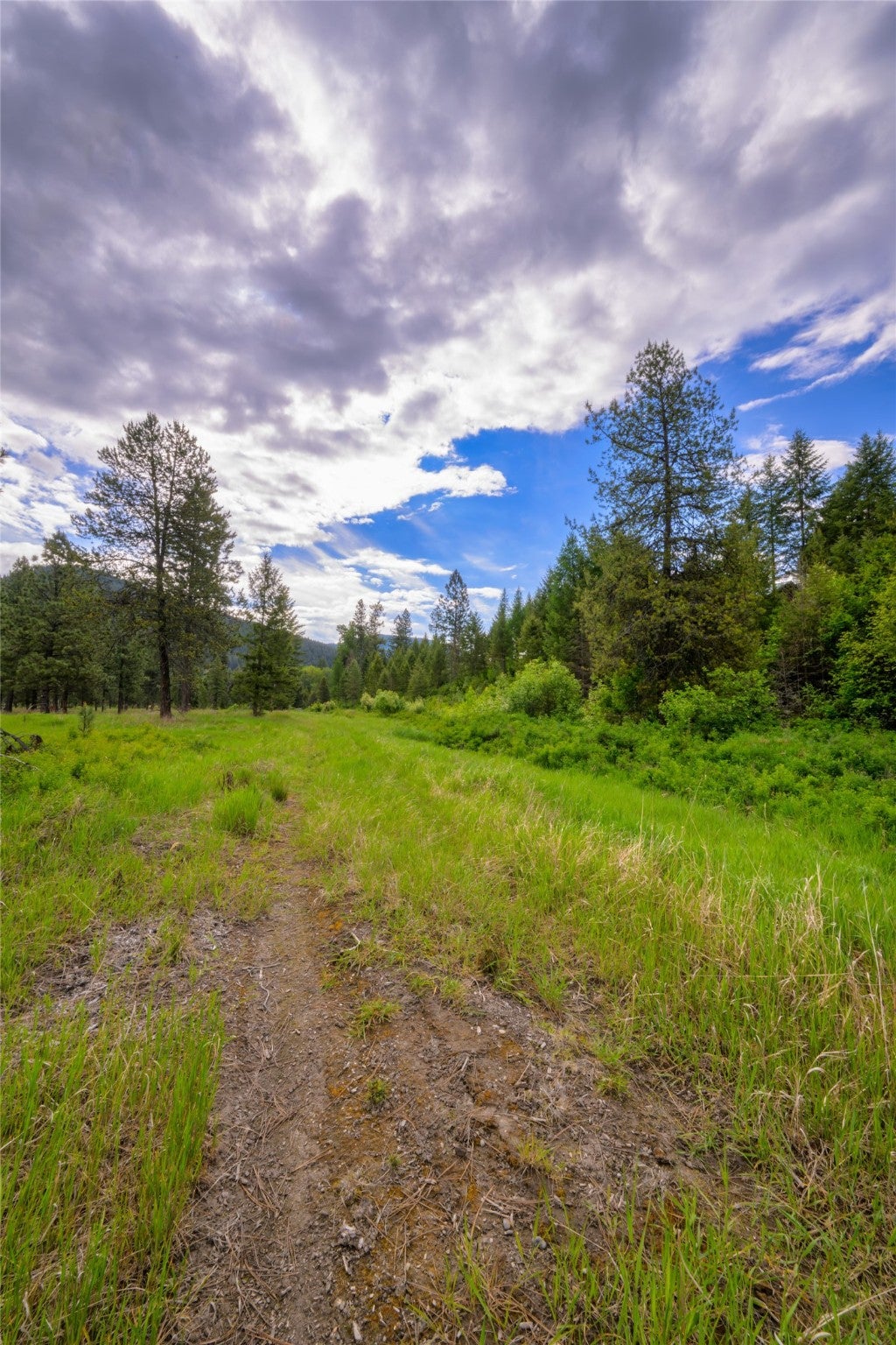 St Regis, Montana, 59866, United States, ,Land,For Sale,1848990