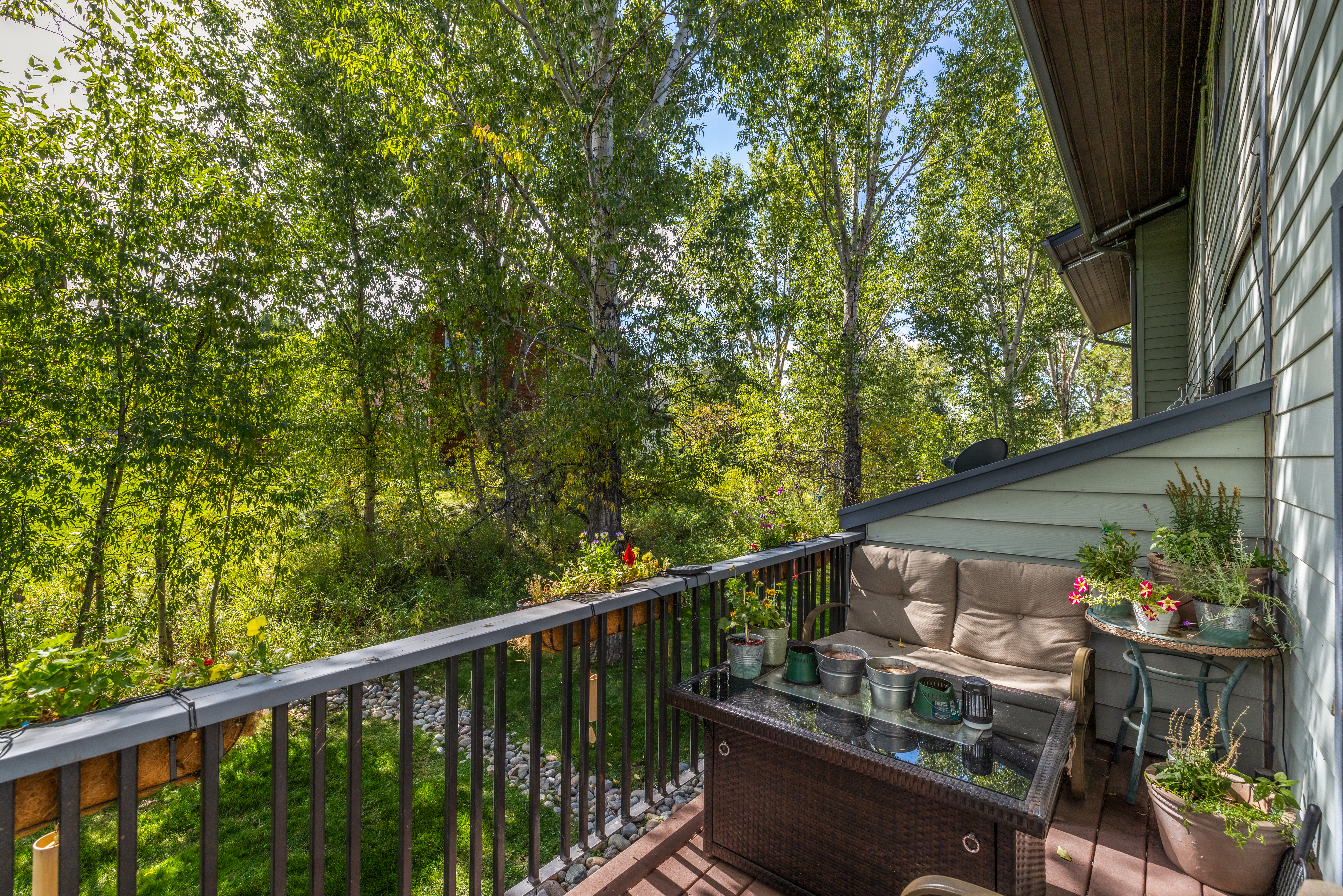  1555 Woodbridge Court, Steamboat Springs, CO 80487 - 物件實景