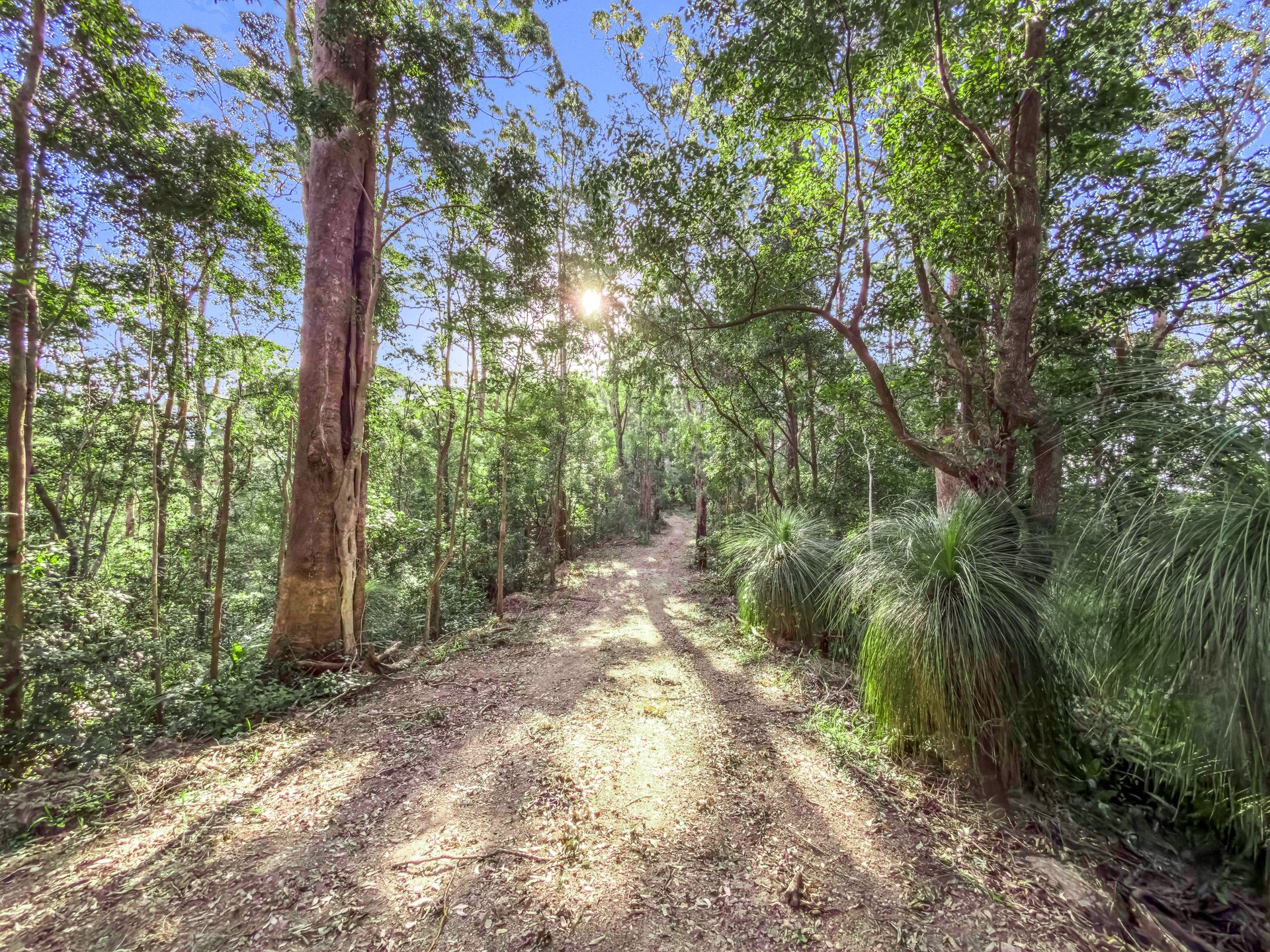  112 Pimble Valley Road, Crabbes Creek - 物件實景
