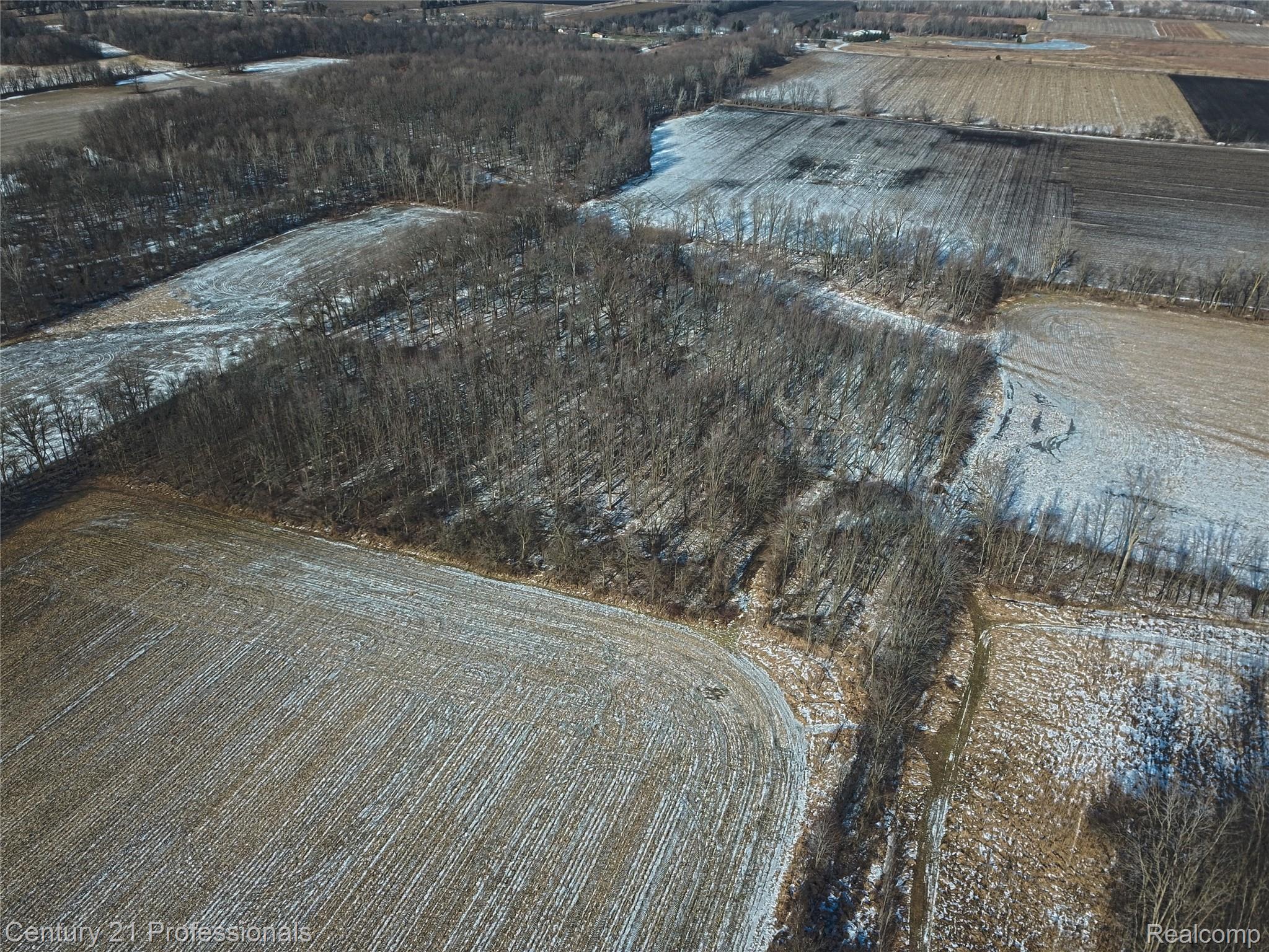 Allenton, Michigan, 48002, United States, ,Land,For Sale,2005933