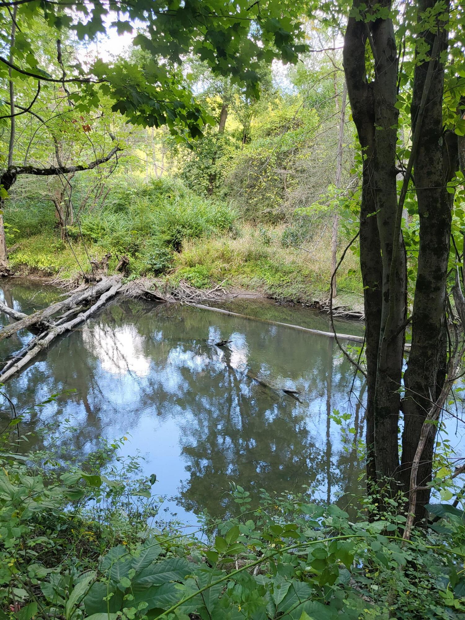 Union Pier, Michigan, 49129, United States, ,Land,For Sale,1988293