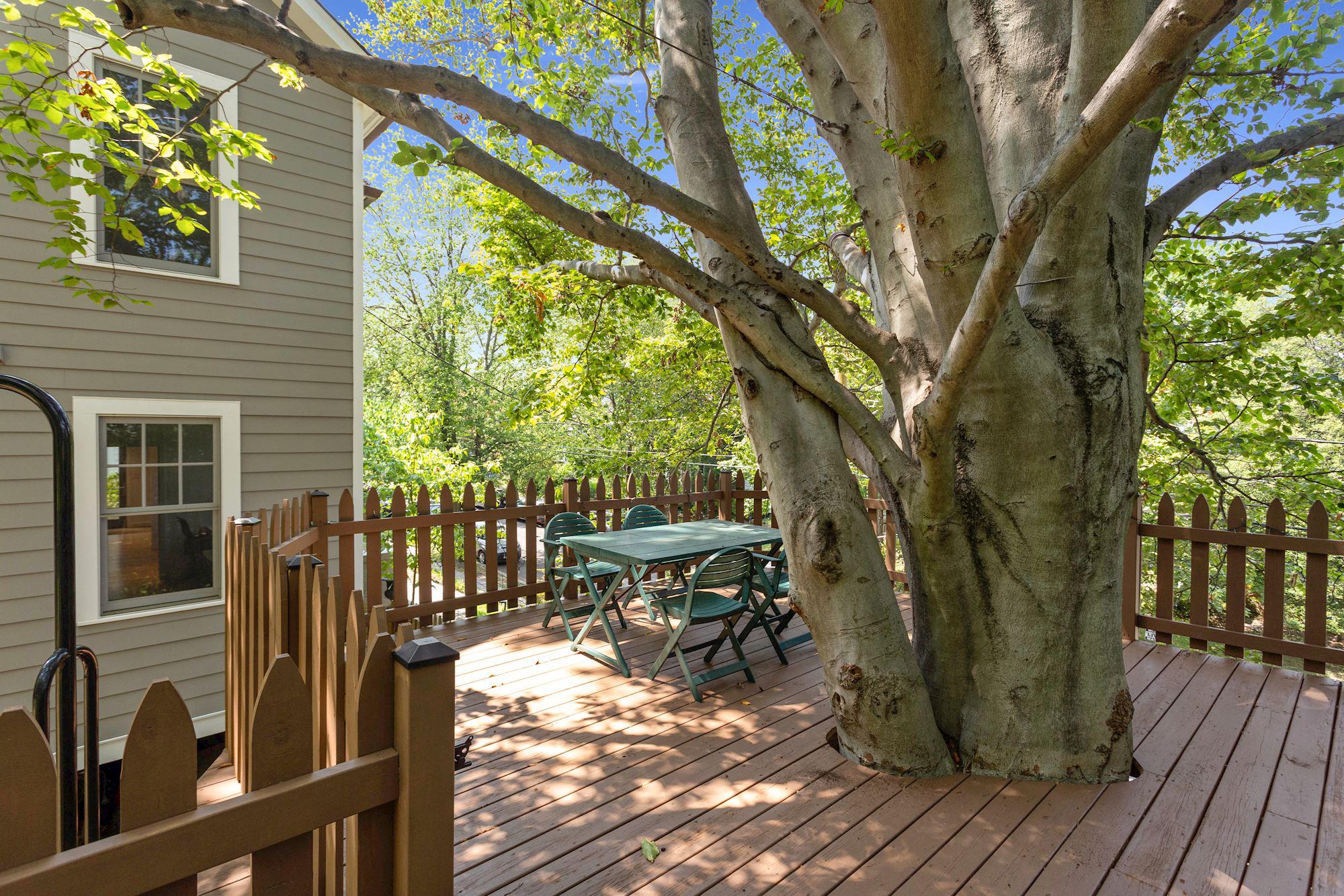  3800 Alton Place NW, Washington, DC, 20016 - 物件實景