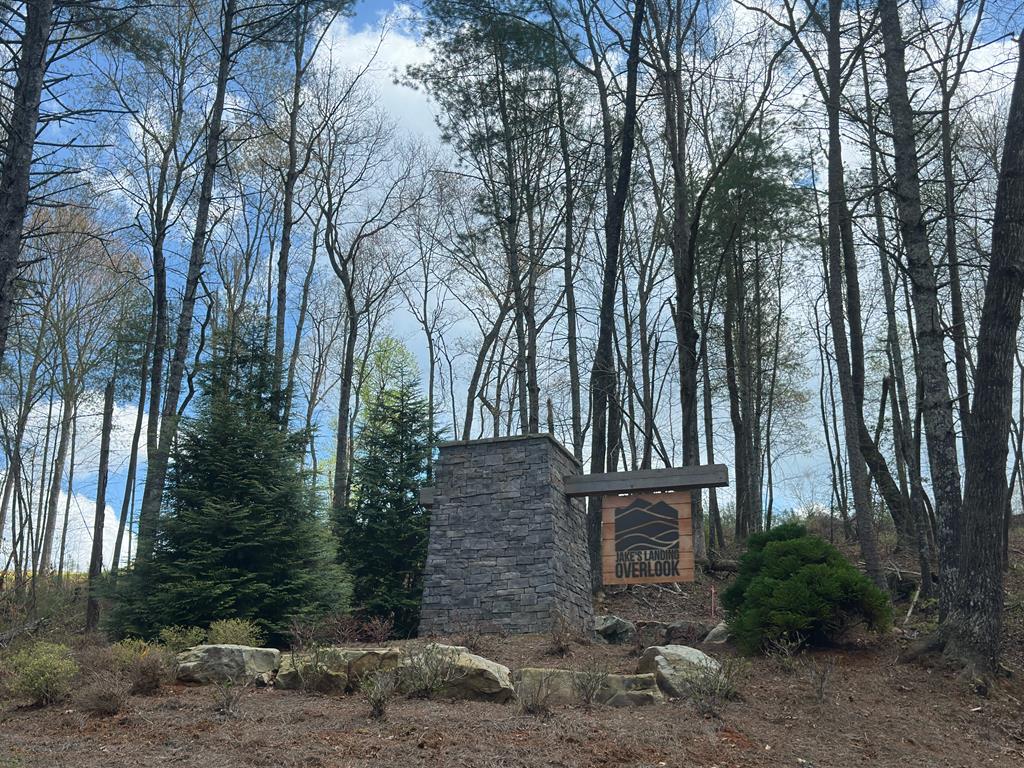 Ellijay, Georgia, 30540, United States, 3 Bedrooms Bedrooms, ,3 BathroomsBathrooms,Residential,For Sale,1859114