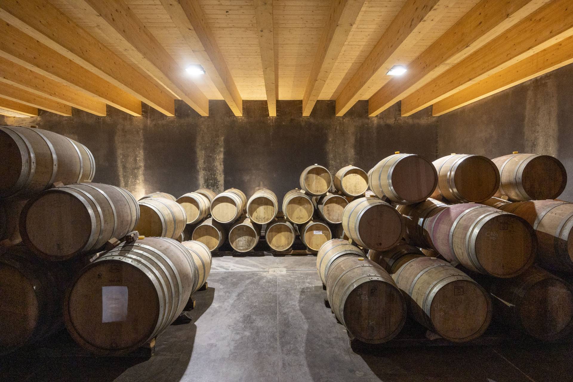 Montalcino, Siena, 53024, IT, ,Residential,For Sale,1991815