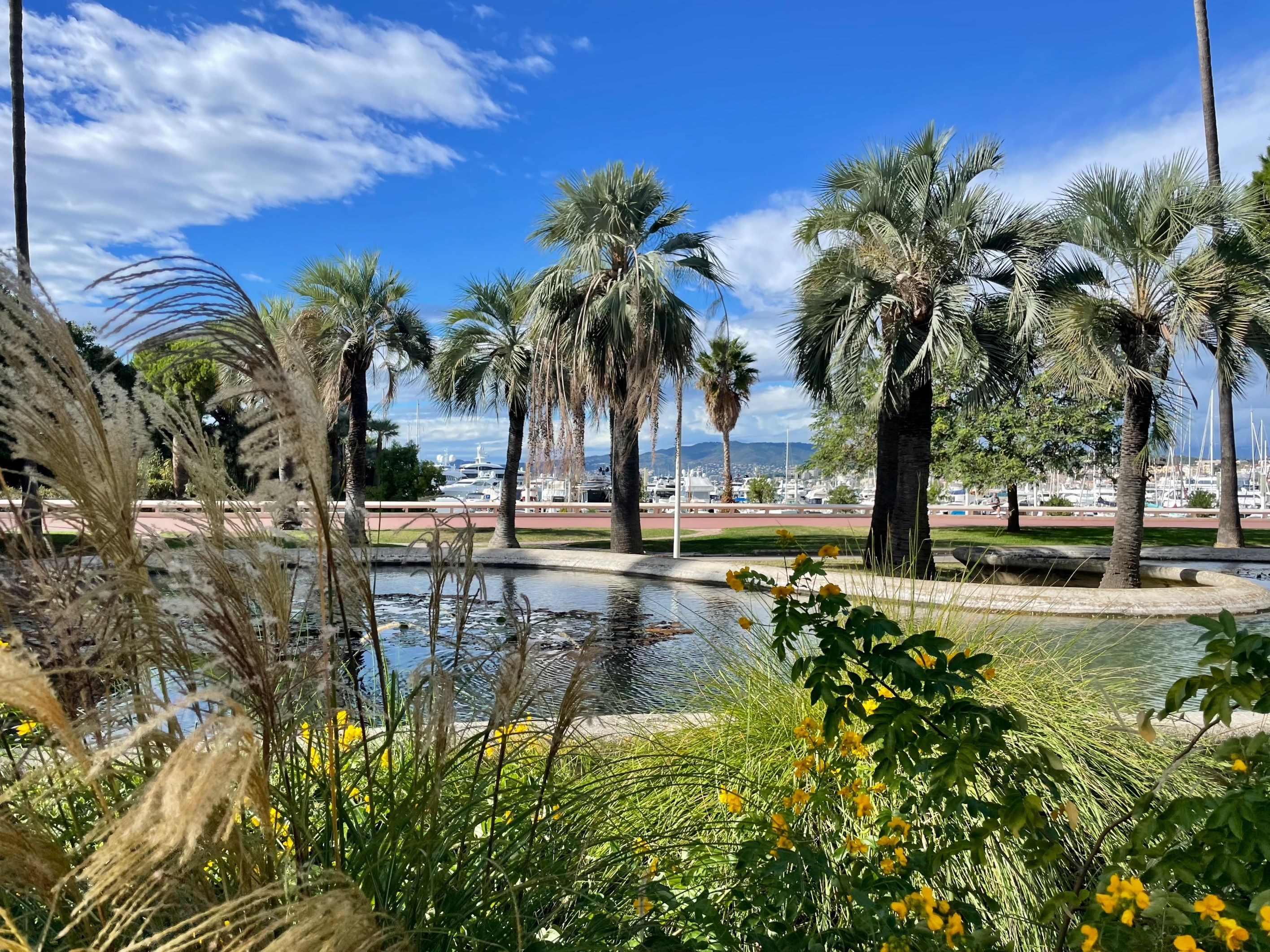  Studio for sale in Cannes Croisette, terrace with sea view facing Port Canto - 物件實景