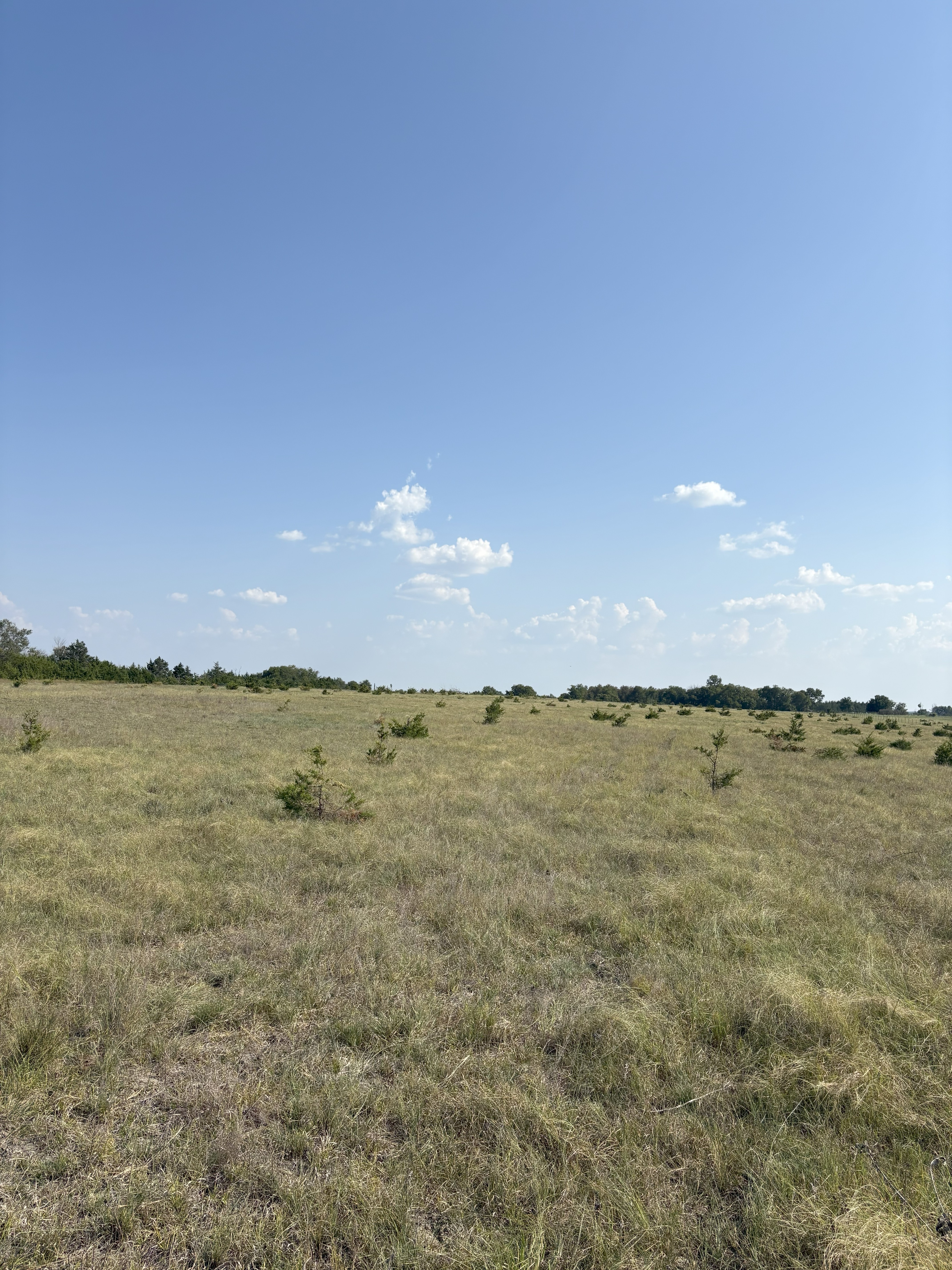 Roxton, Texas, 75477, United States, ,Land,For Sale,1979032