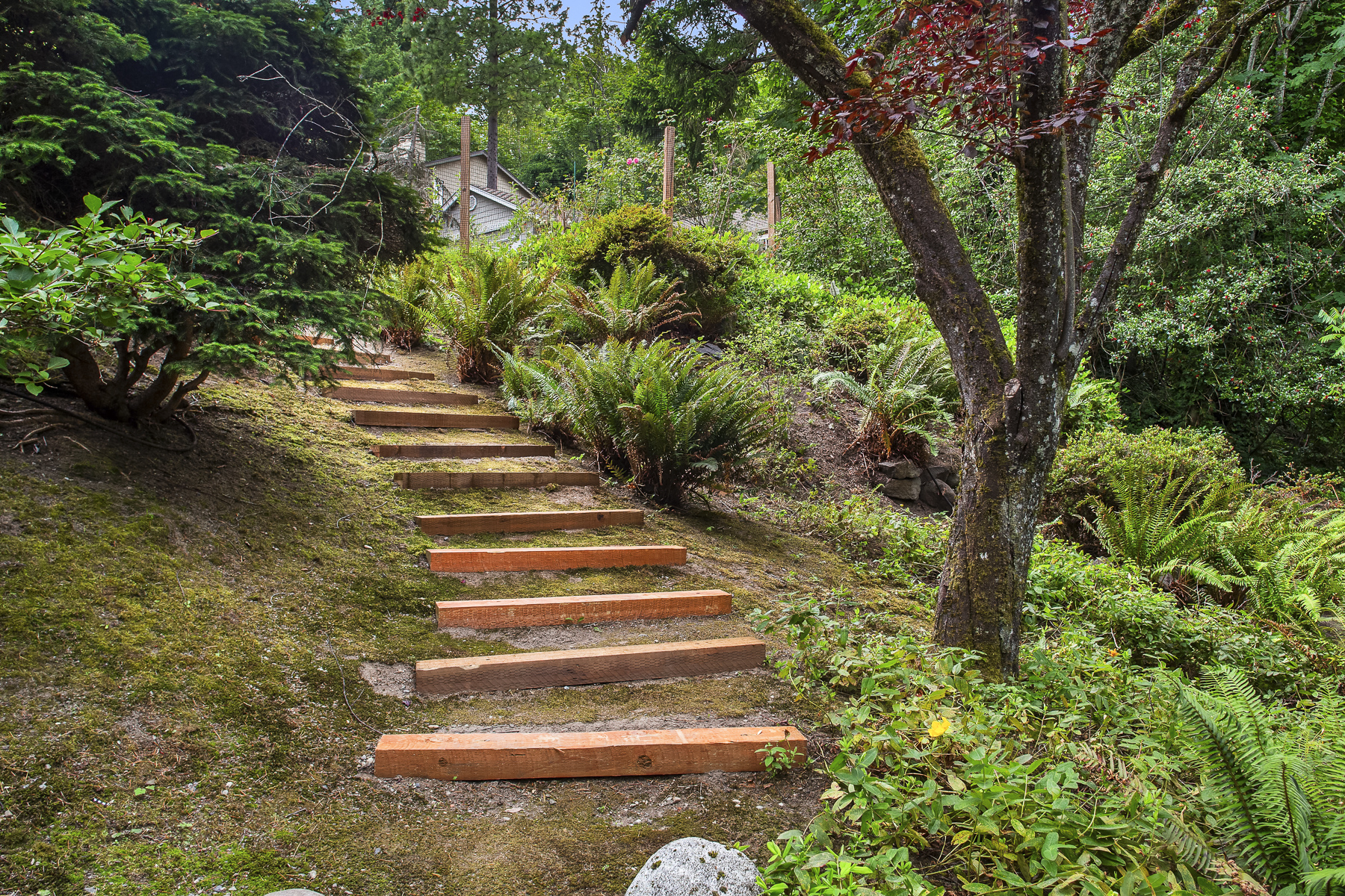  14130 SE 49th Place, Bellevue, WA 98006 - 物件實景