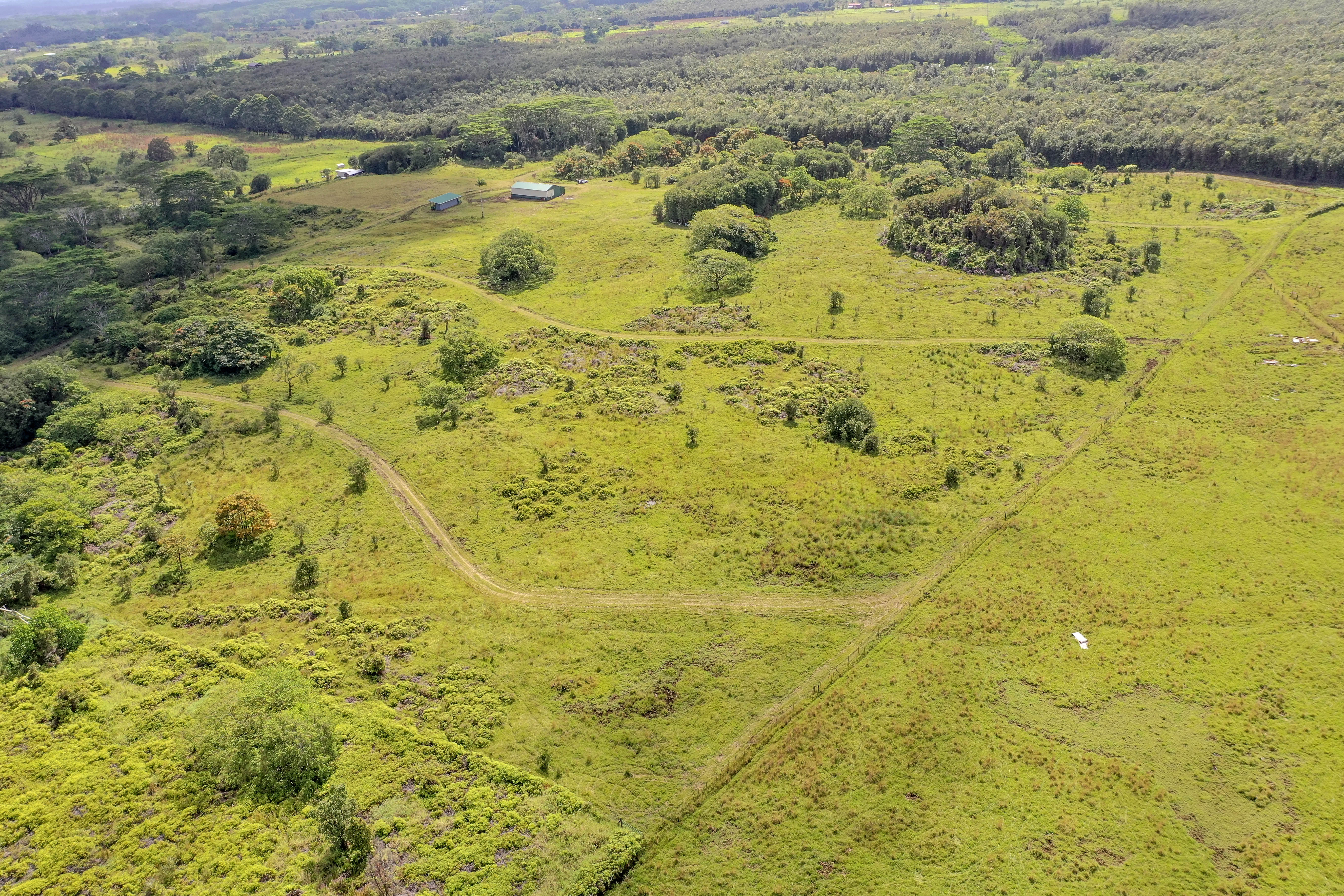  17-4870 South Rd, Kurtistown, HI, 96760 - 物件實景