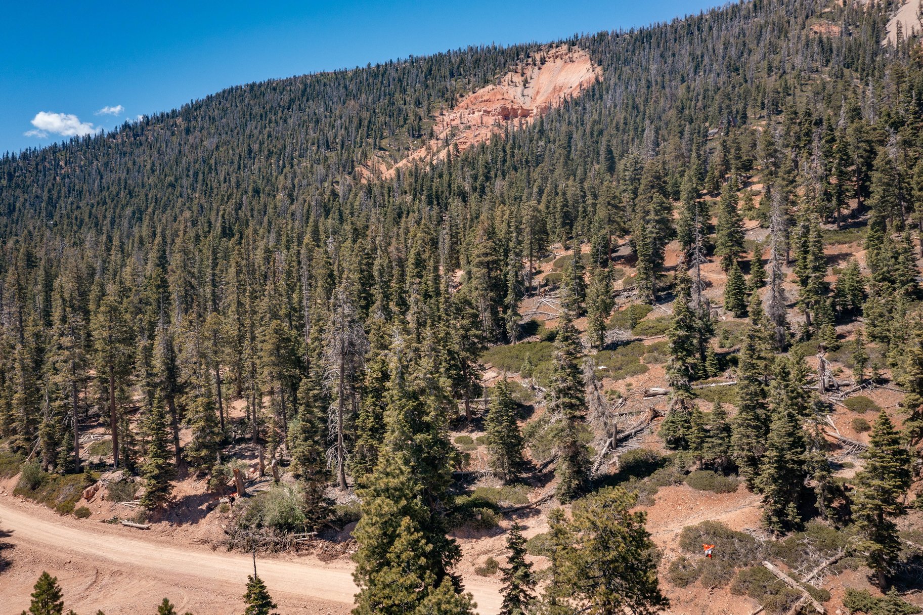  Quiet Mountain Retreat Near Navajo Lake - 物件實景