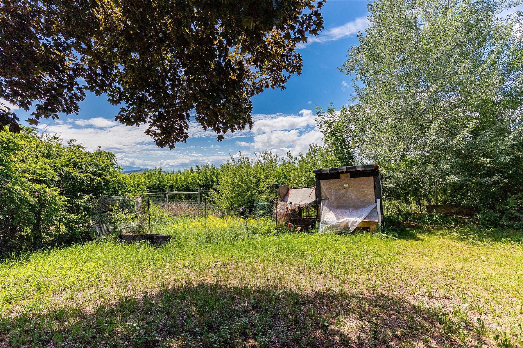  10 Acre Orchard - 物件實景
