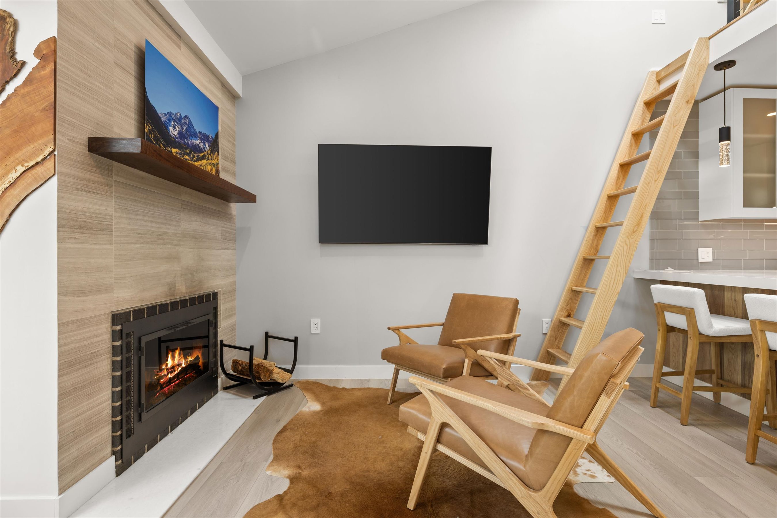 910 W Hallam Street, Aspen, CO, 81611 - 物件實景