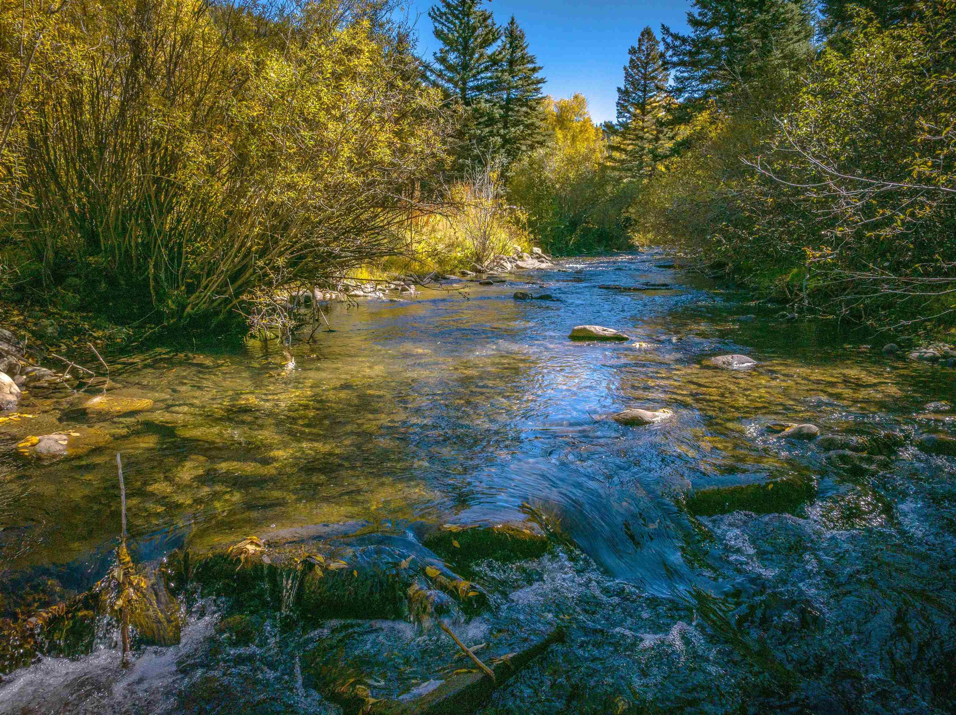 Tres Ritos, New Mexico, 87579, United States, ,Residential,For Sale,1986335