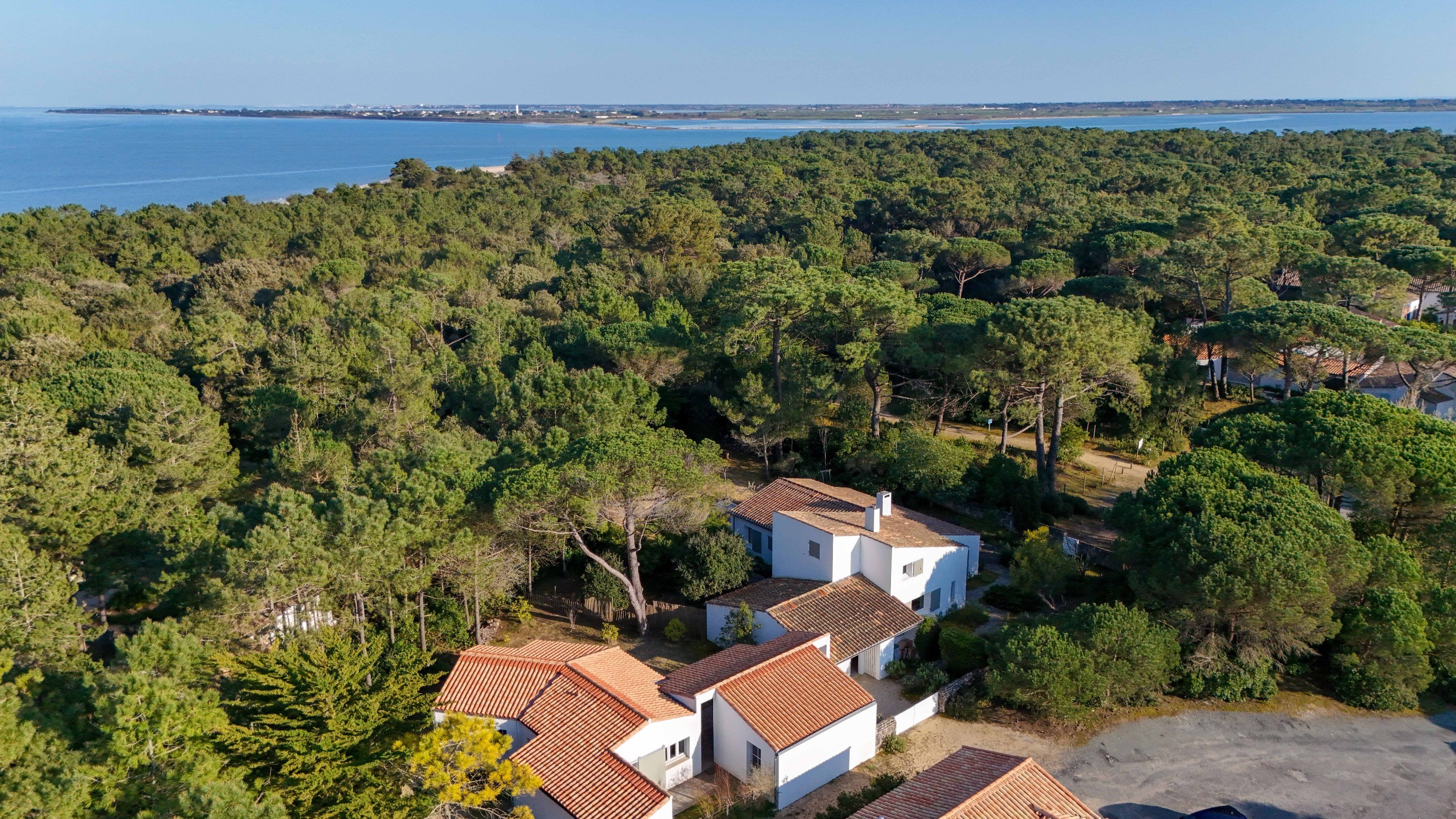  Île de Ré – Les Portes-en-Ré - Exceptional Property Nestled in a Pine Forest, J… - 物件實景