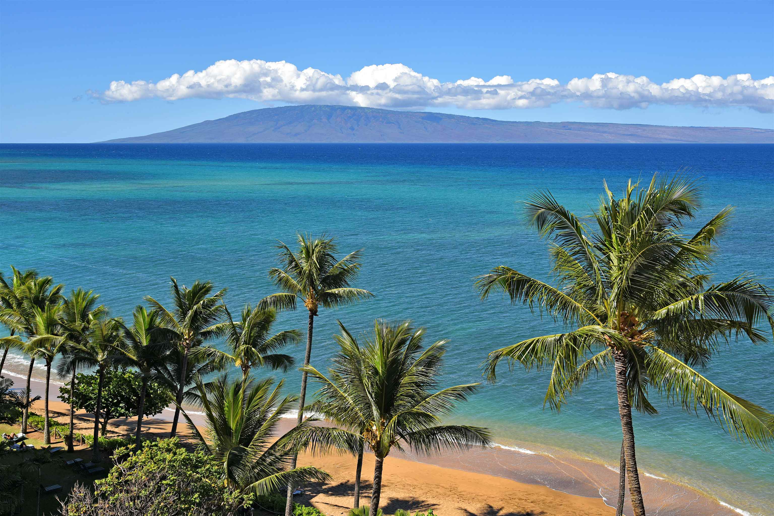 Lahaina, Hawaii, 96761, United States, 2 Bedrooms Bedrooms, ,2 BathroomsBathrooms,Residential,For Sale,1828104