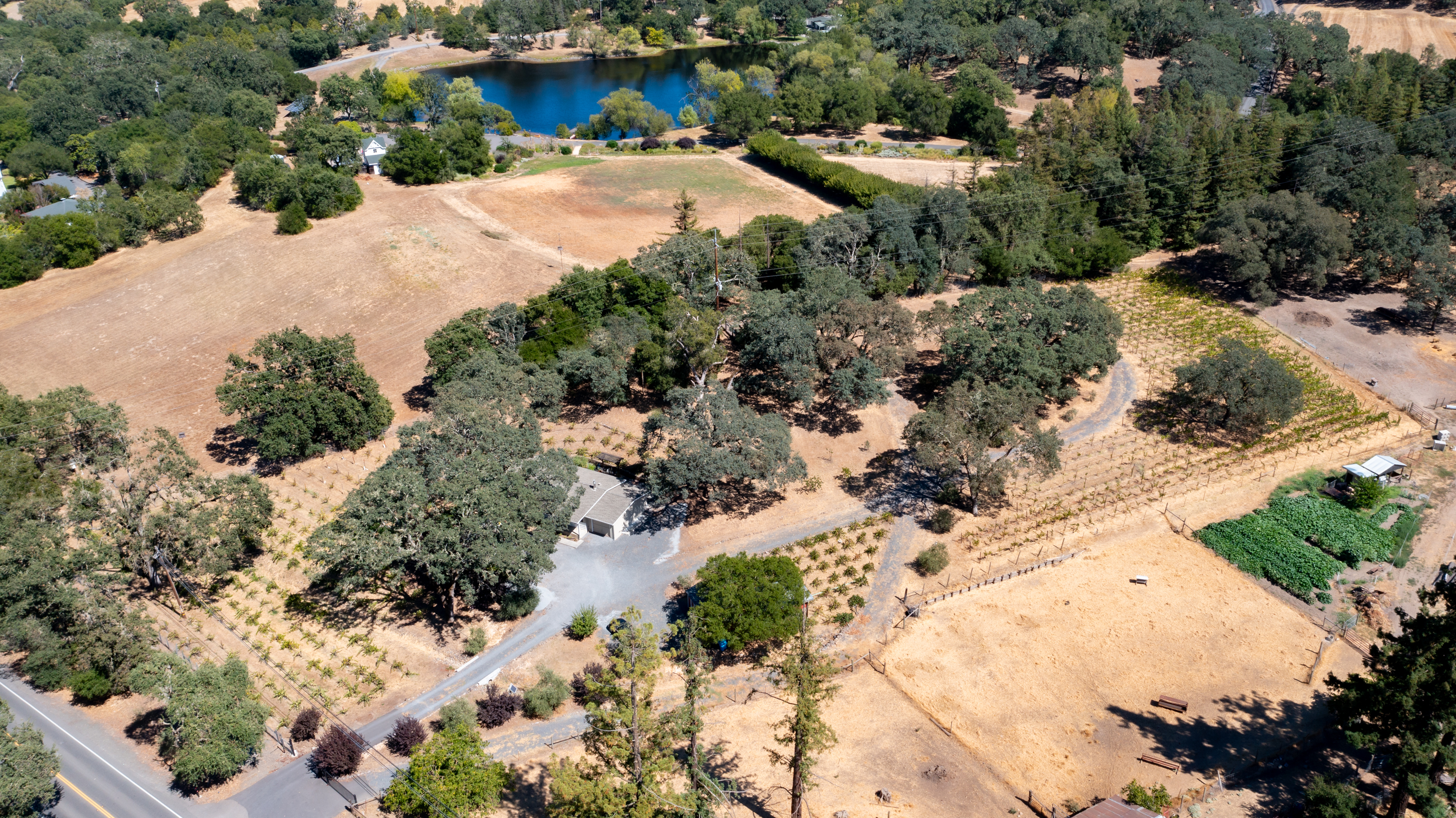  Rare Opportunity in Alexander Valley - 物件實景