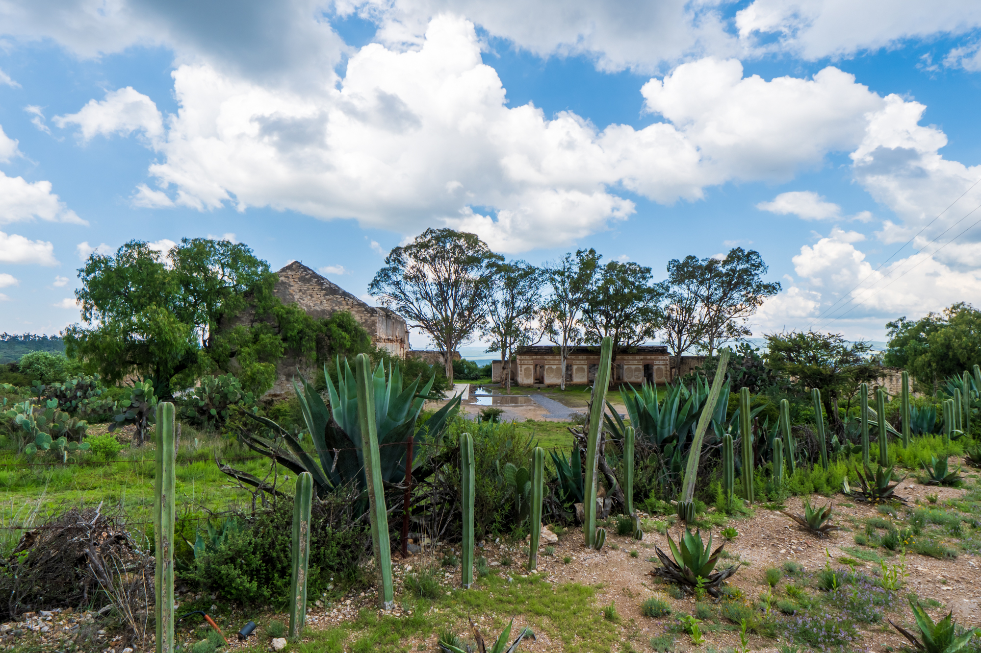 Casa Bella Vista - 物件實景