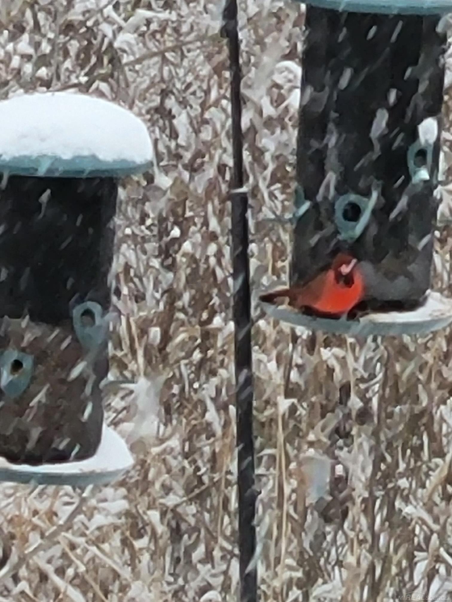 Macomb, Michigan, 48042, United States, 3 Bedrooms Bedrooms, ,3 BathroomsBathrooms,Residential,For Sale,2002873