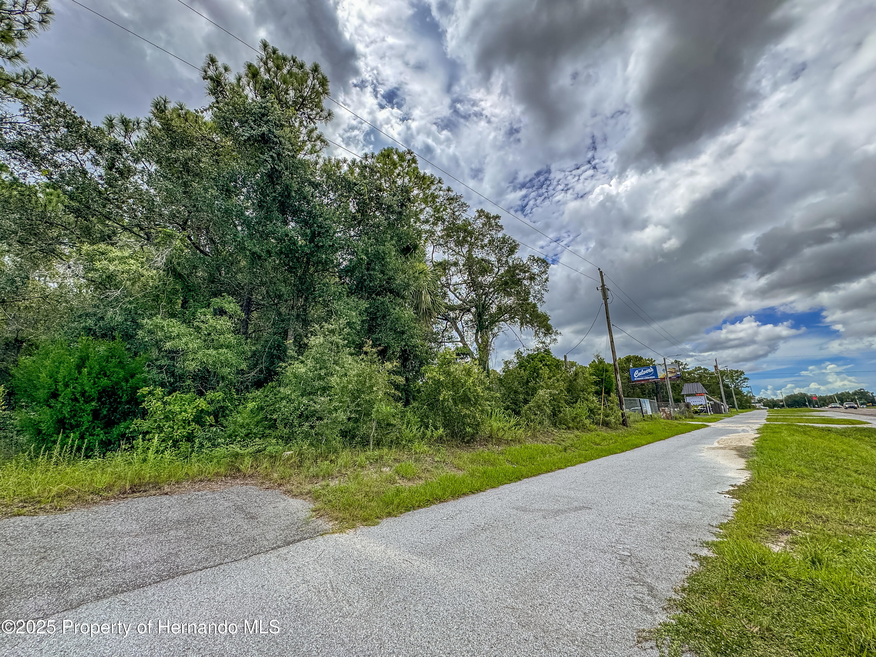 Brooksville, Florida, 34613, United States, ,Land,For Sale,1976830