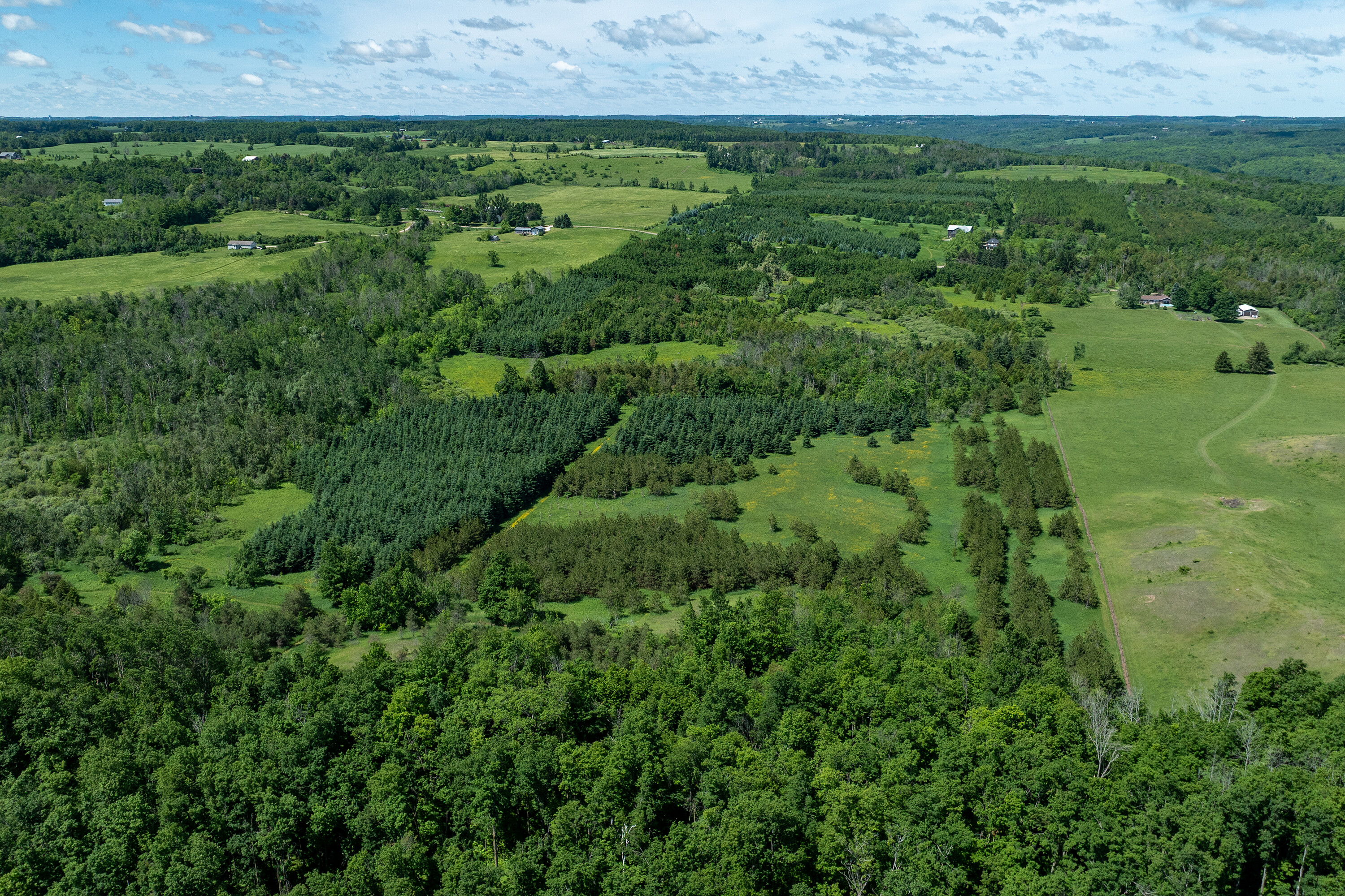  50 acre parcel in Mulmur ON - 物件實景