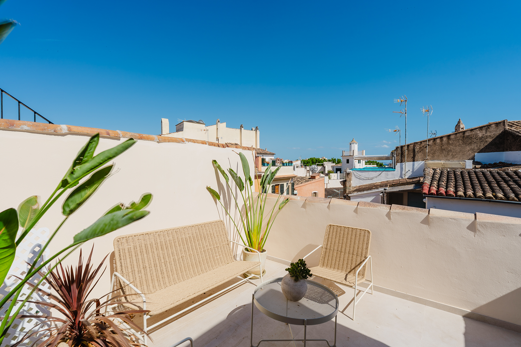  Renovated townhouse with terrace in Palma de Mallorca old town - 物件實景