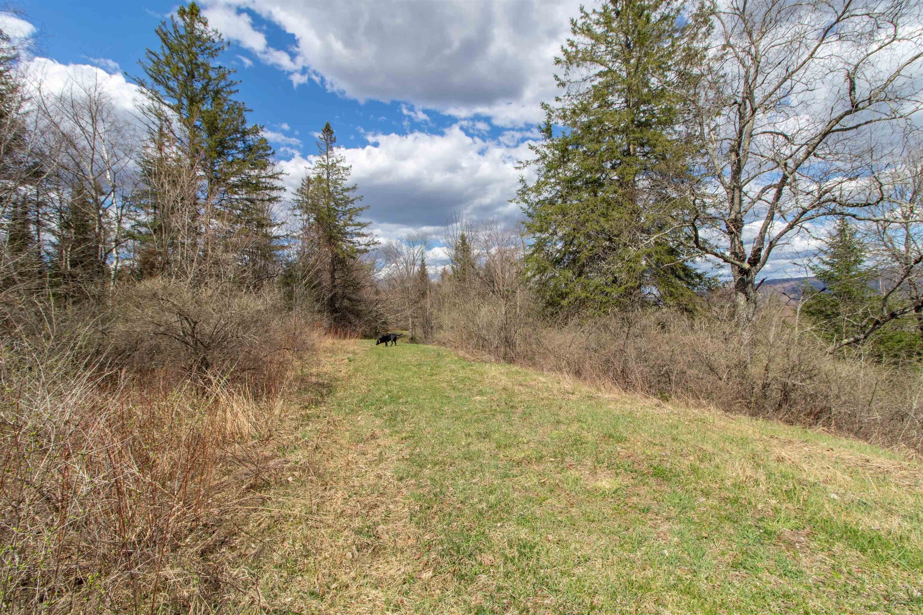 Burke, Vermont, 05832, United States, ,Land,For Sale,2041867