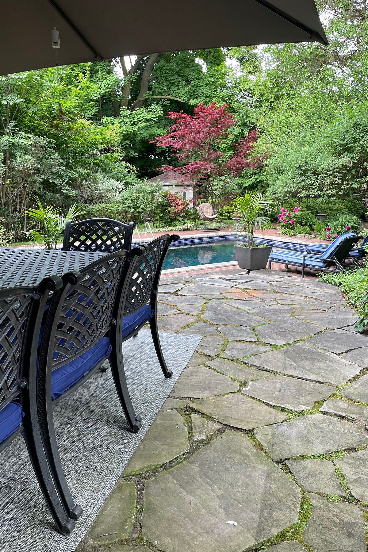  South Hill Family Home - 物件實景