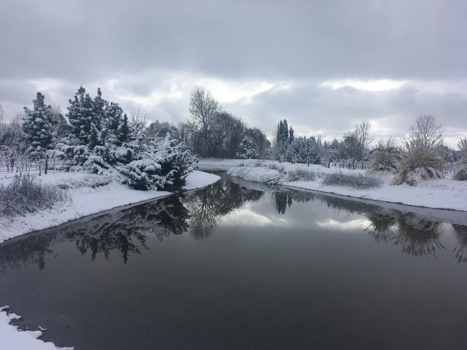 Lujan De Cuyo, AR-M, AR, 5 Bedrooms Bedrooms, ,8 BathroomsBathrooms,Residential,For Sale,1999071