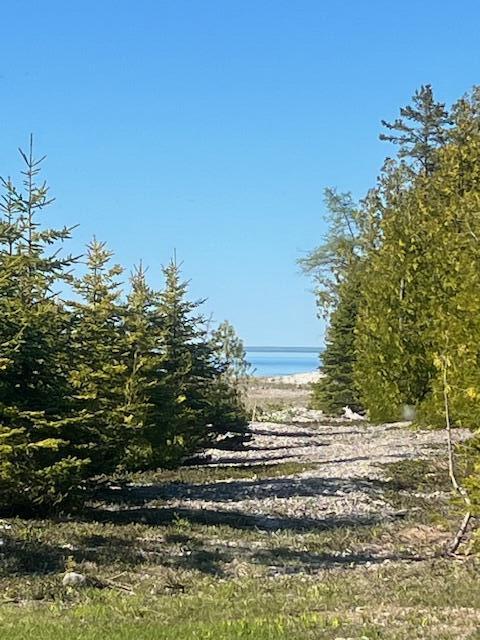 Bois Blanc, Michigan, 49775, United States, 4 Bedrooms Bedrooms, ,3 BathroomsBathrooms,Residential,For Sale,1829598
