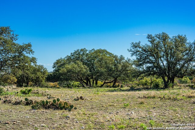 342 Mealy Sage Rd, Harper, Texas, 78631, United States, 4 Bedrooms Bedrooms, ,2 BathroomsBathrooms,Residential,For Sale,342 Mealy Sage Rd,1463716