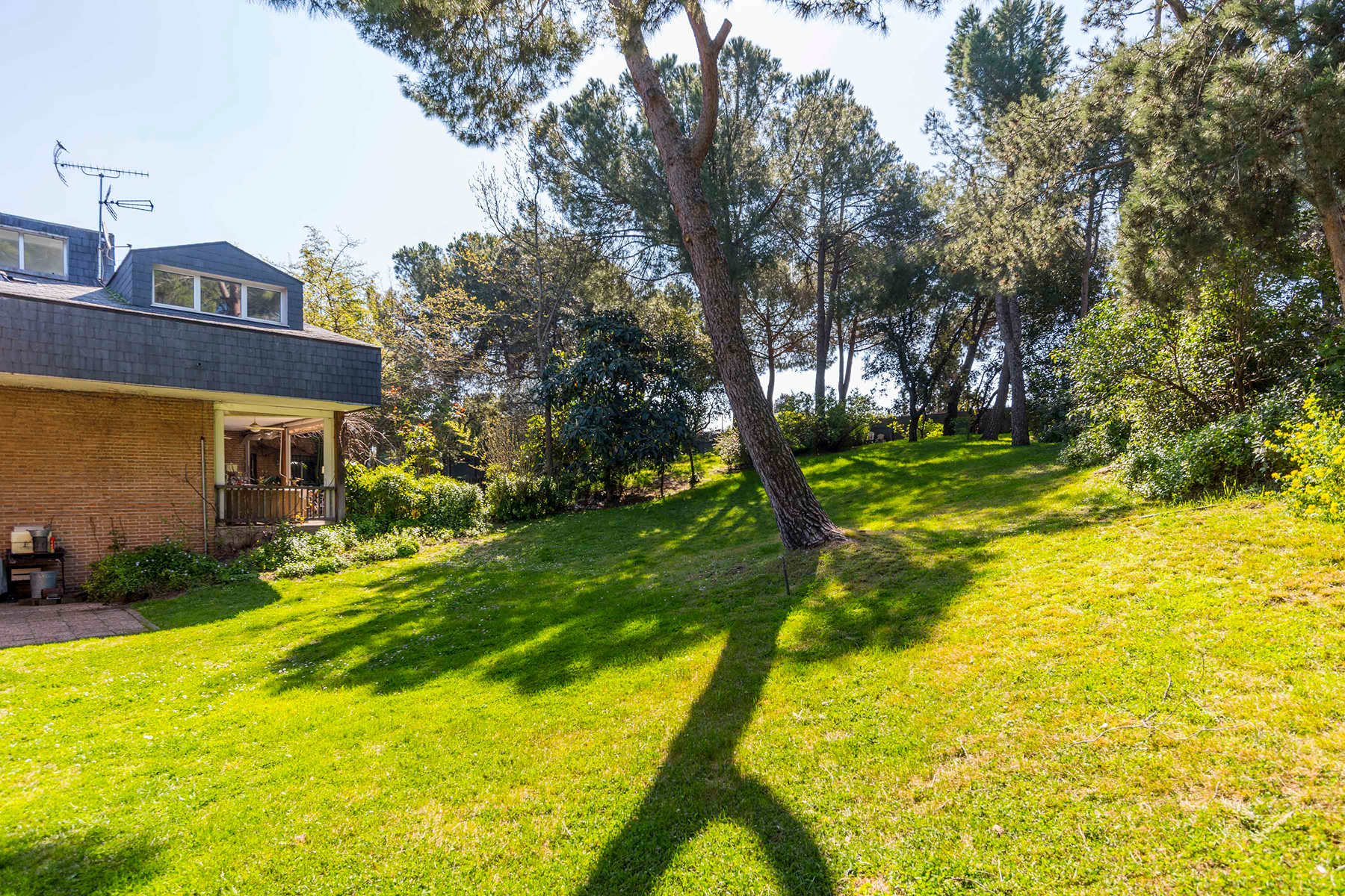  Wonderful hectare plot in La Moraleja - 物件實景