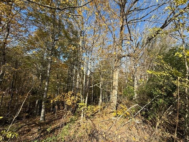 Willow Shade, Kentucky, 42166, United States, 3 Bedrooms Bedrooms, ,2 BathroomsBathrooms,Residential,For Sale,1991903