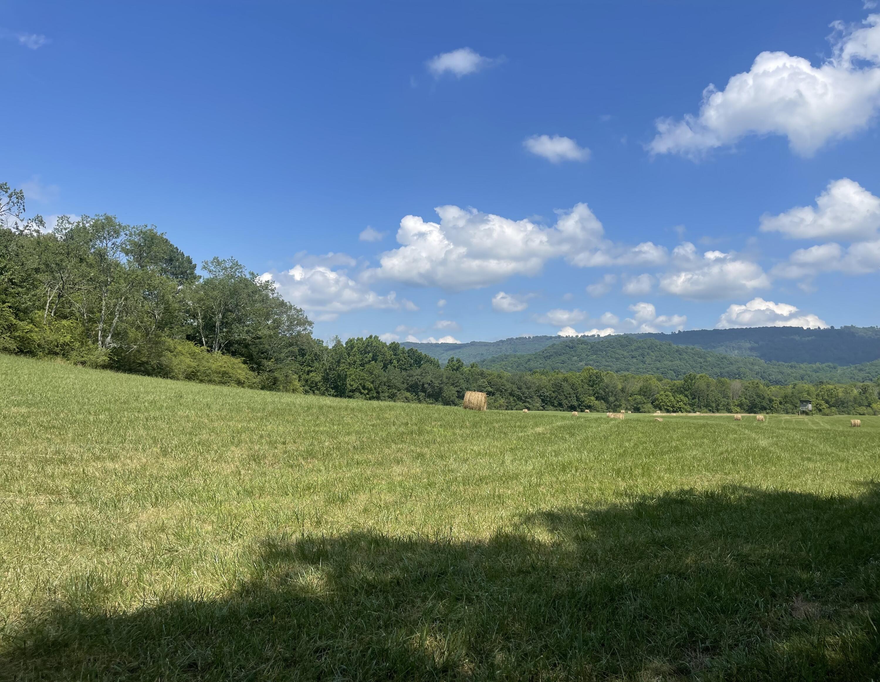 Bryant, Alabama, 35958, United States, ,Land,For Sale,1982684