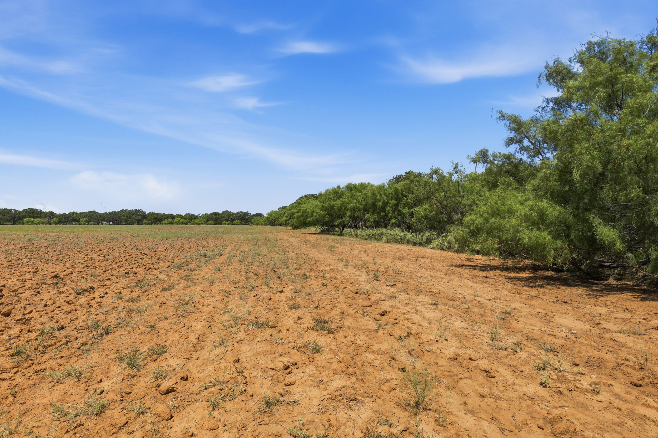  125 Acres of Texas Land for Recreation and Retreat - 物件實景