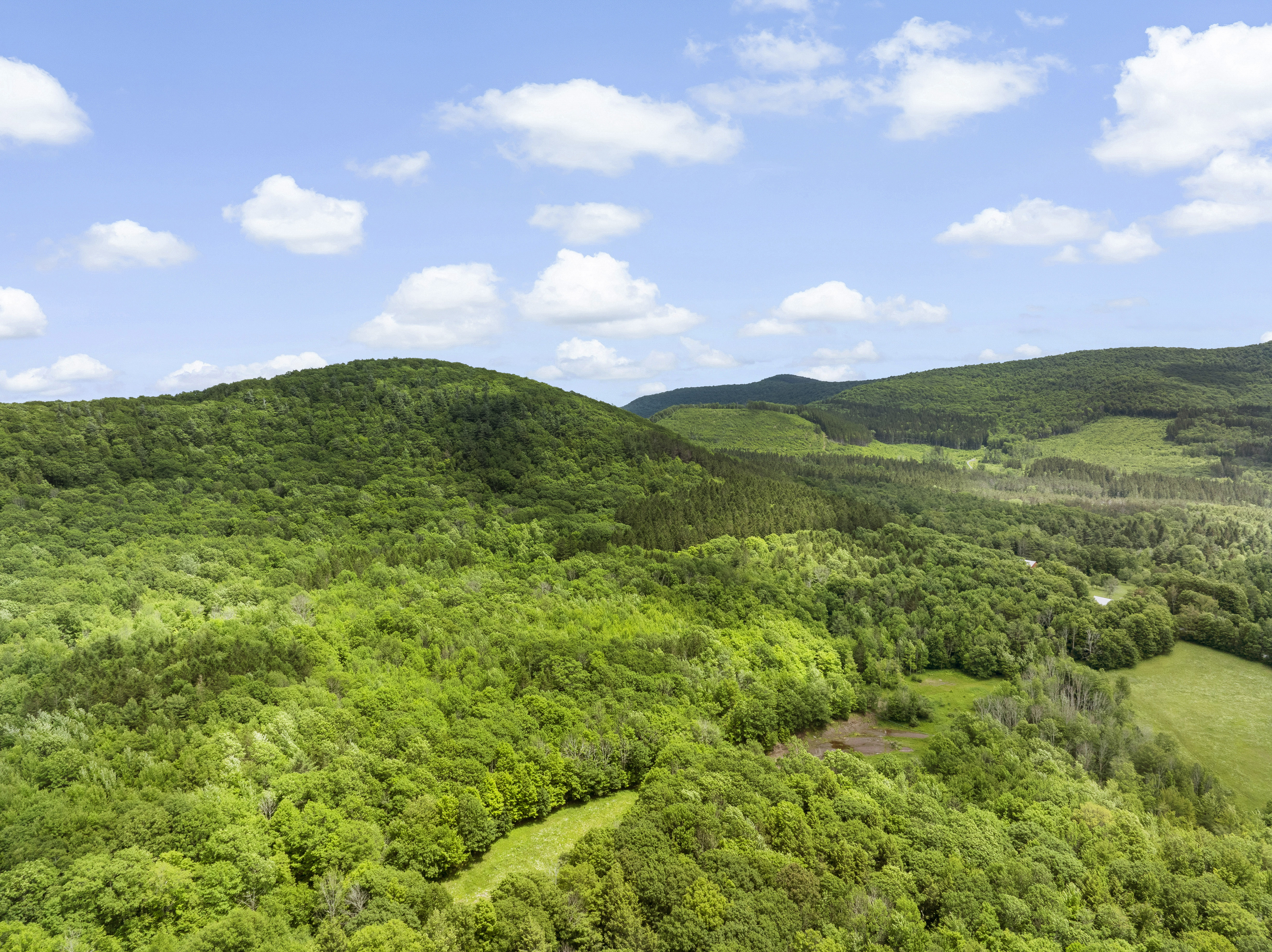  L3 Durham Road, Conesville, NY, 12076 - 物件實景