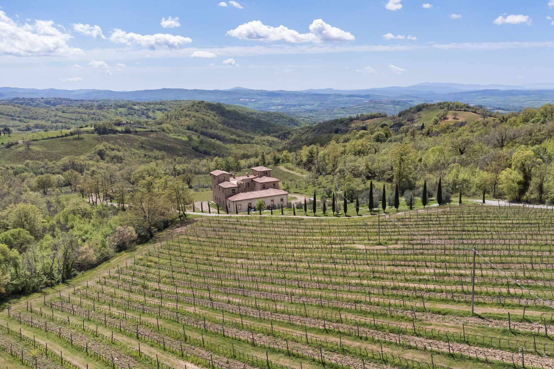Fascinating property with vineyards and olive groves 