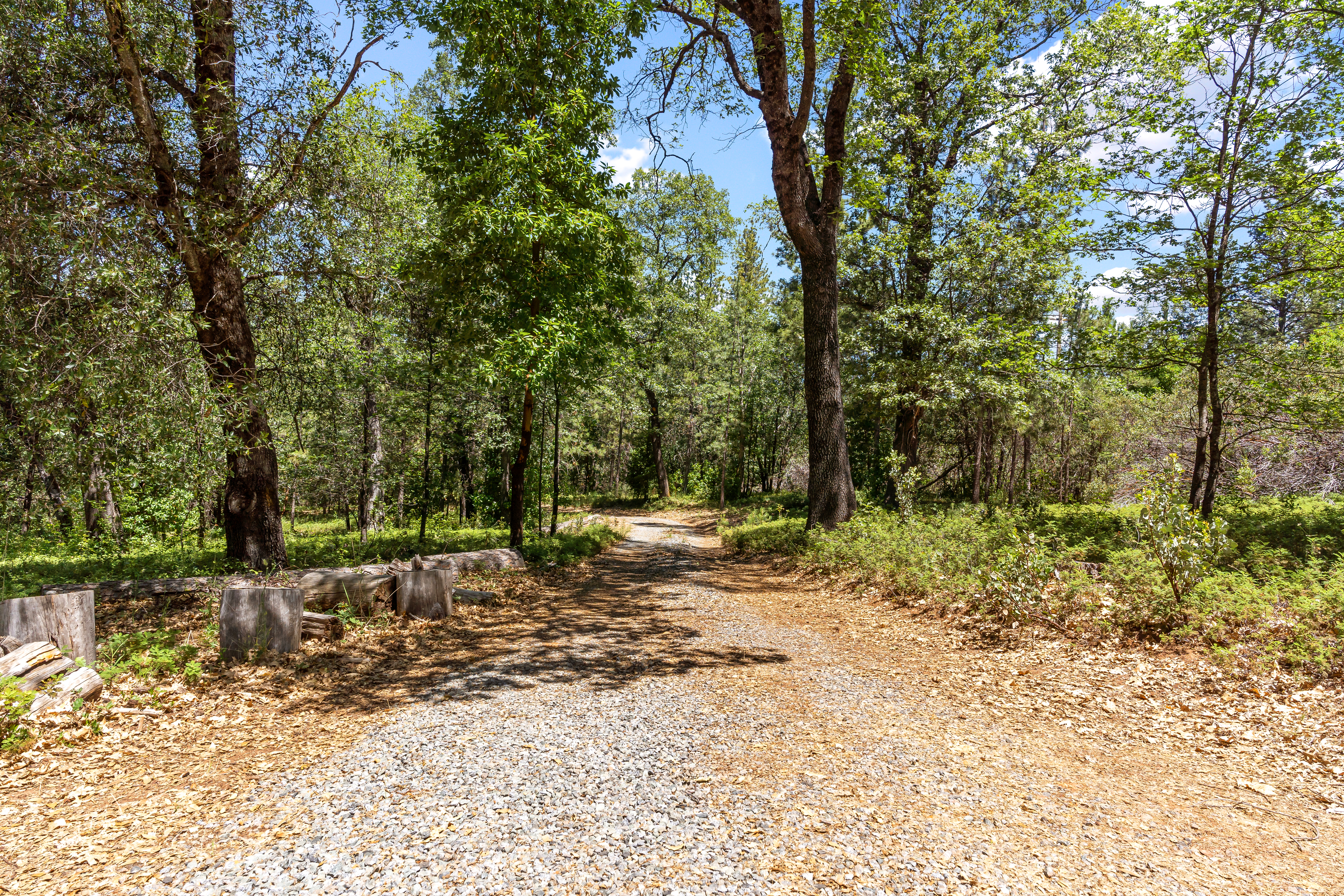  2640 Trail Gulch Road, Placerville, CA 95667 - 物件實景