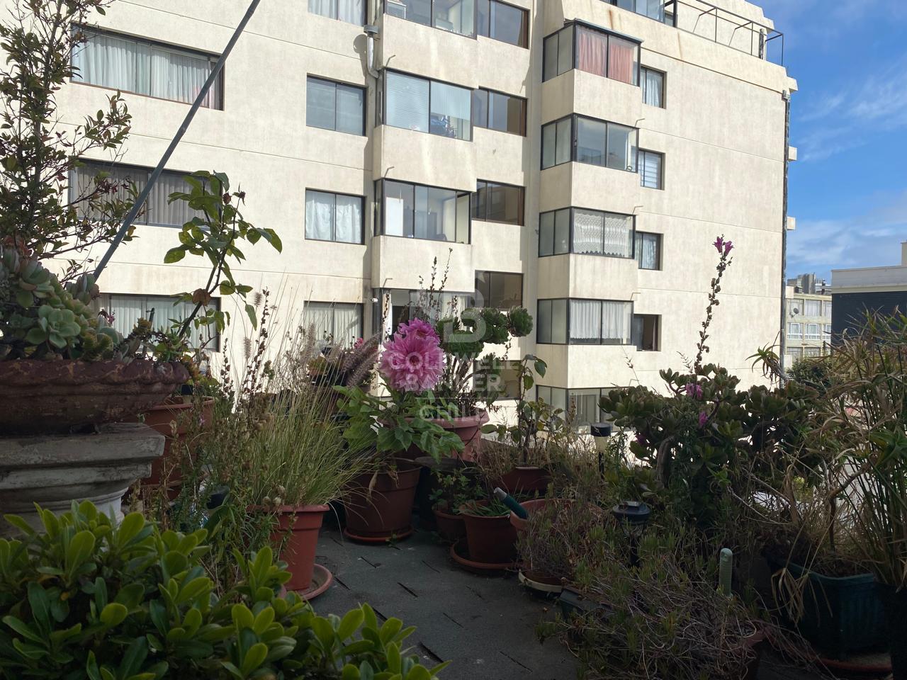 Viña Del Mar, Chile, 3 Bedrooms Bedrooms, ,3 BathroomsBathrooms,Residential,For Sale,1713436