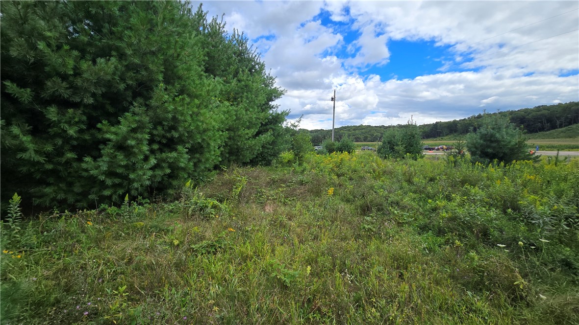 Chippewa Falls, Wisconsin, 54729, United States, ,Land,For Sale,1941721