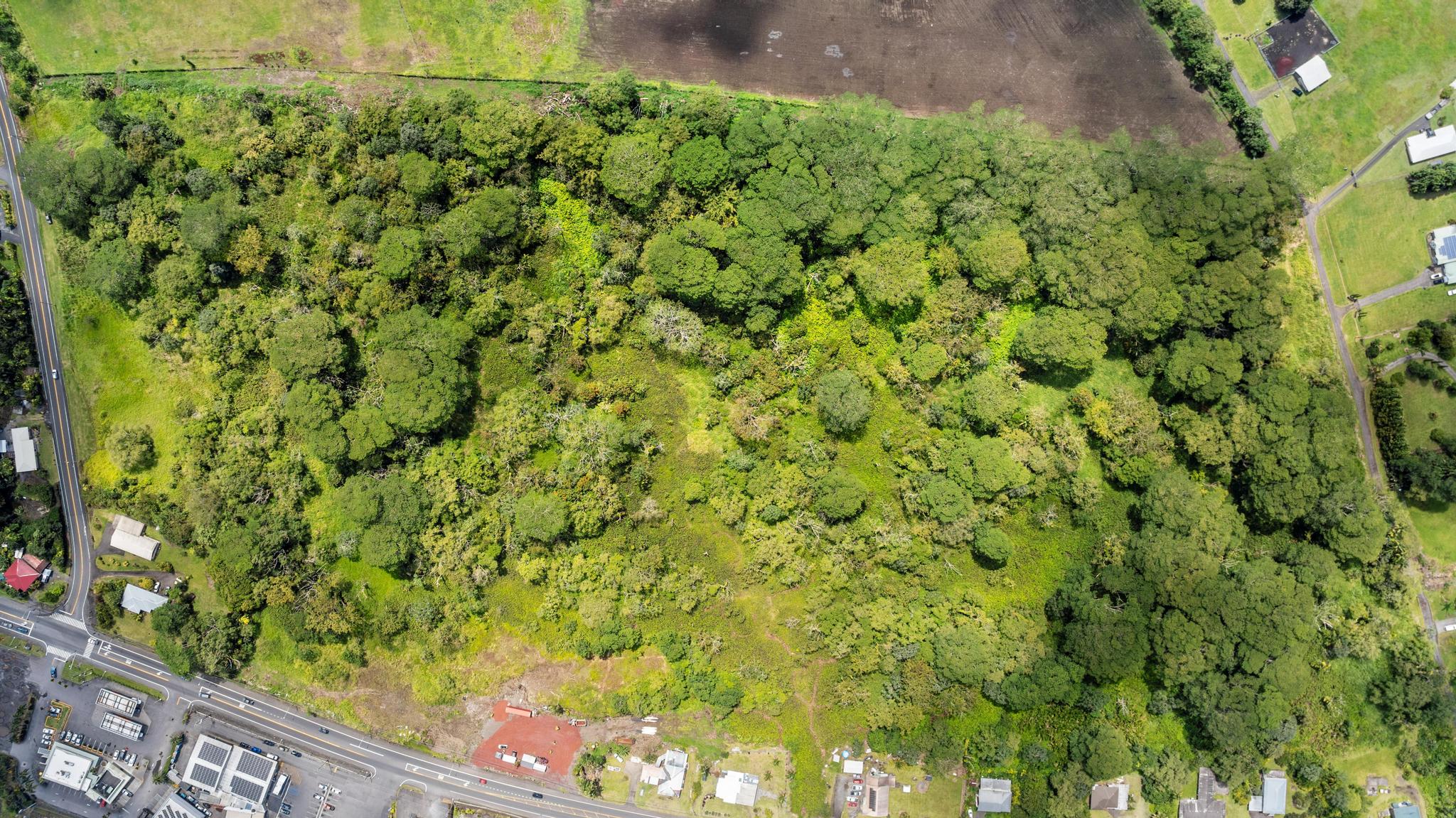 Kurtistown, Hawaii, 96760, United States, ,Land,For Sale,1966842