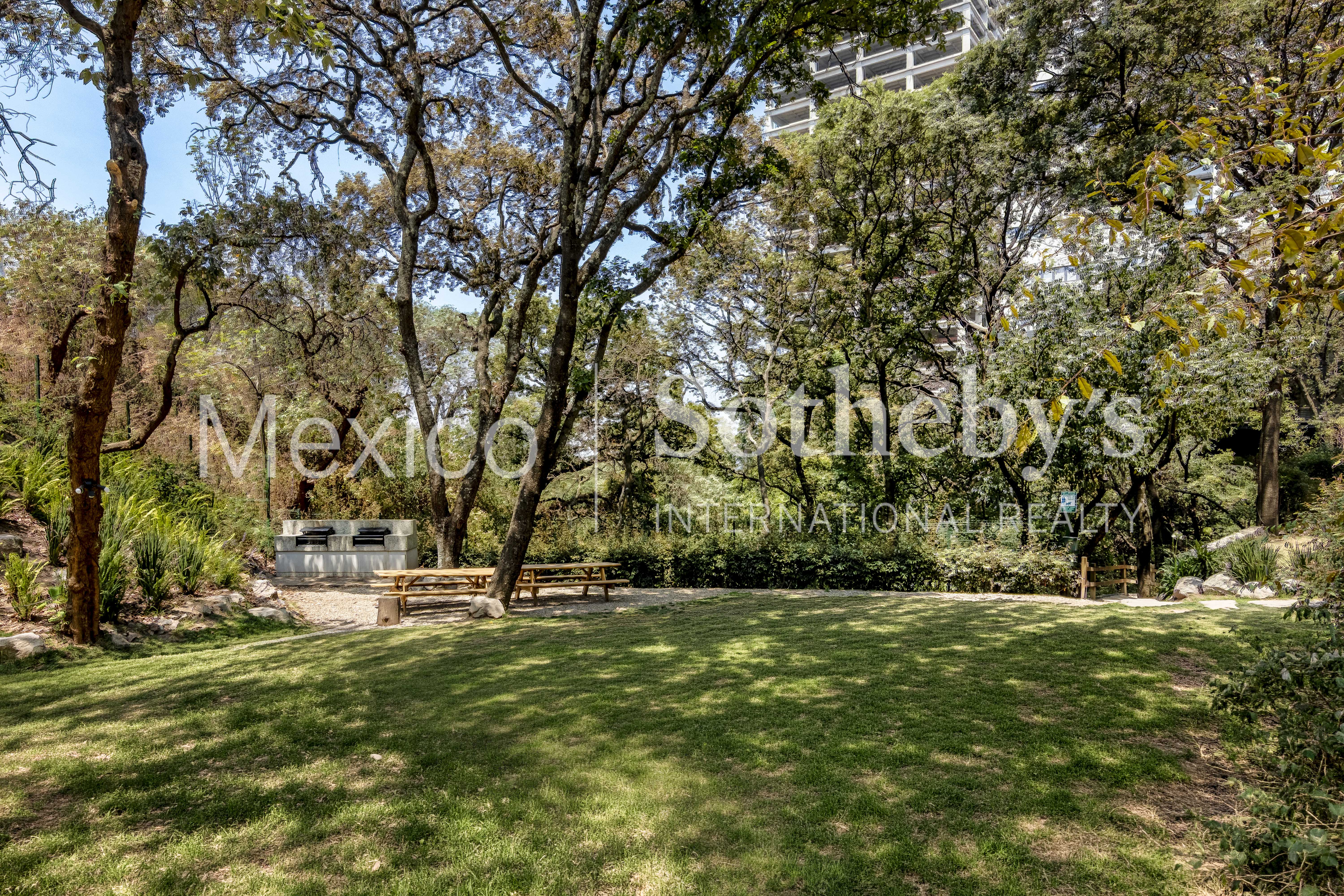  Departamento El Bosque - 物件實景