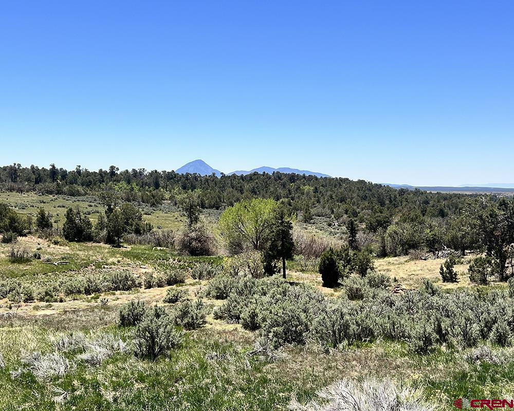 Yellow Jacket, Colorado, 81335, United States, 4 Bedrooms Bedrooms, ,3 BathroomsBathrooms,Residential,For Sale,1982635